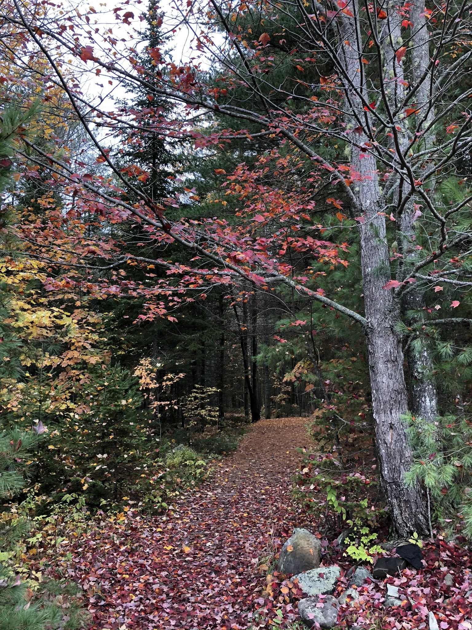 Supporting Military Families: Financial Planning for the Whole Family