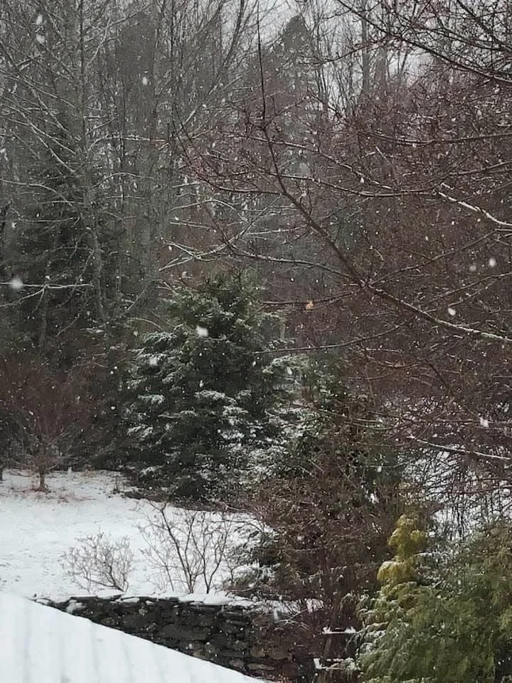 Budgeting for the Holidays: Managing Holiday Spending