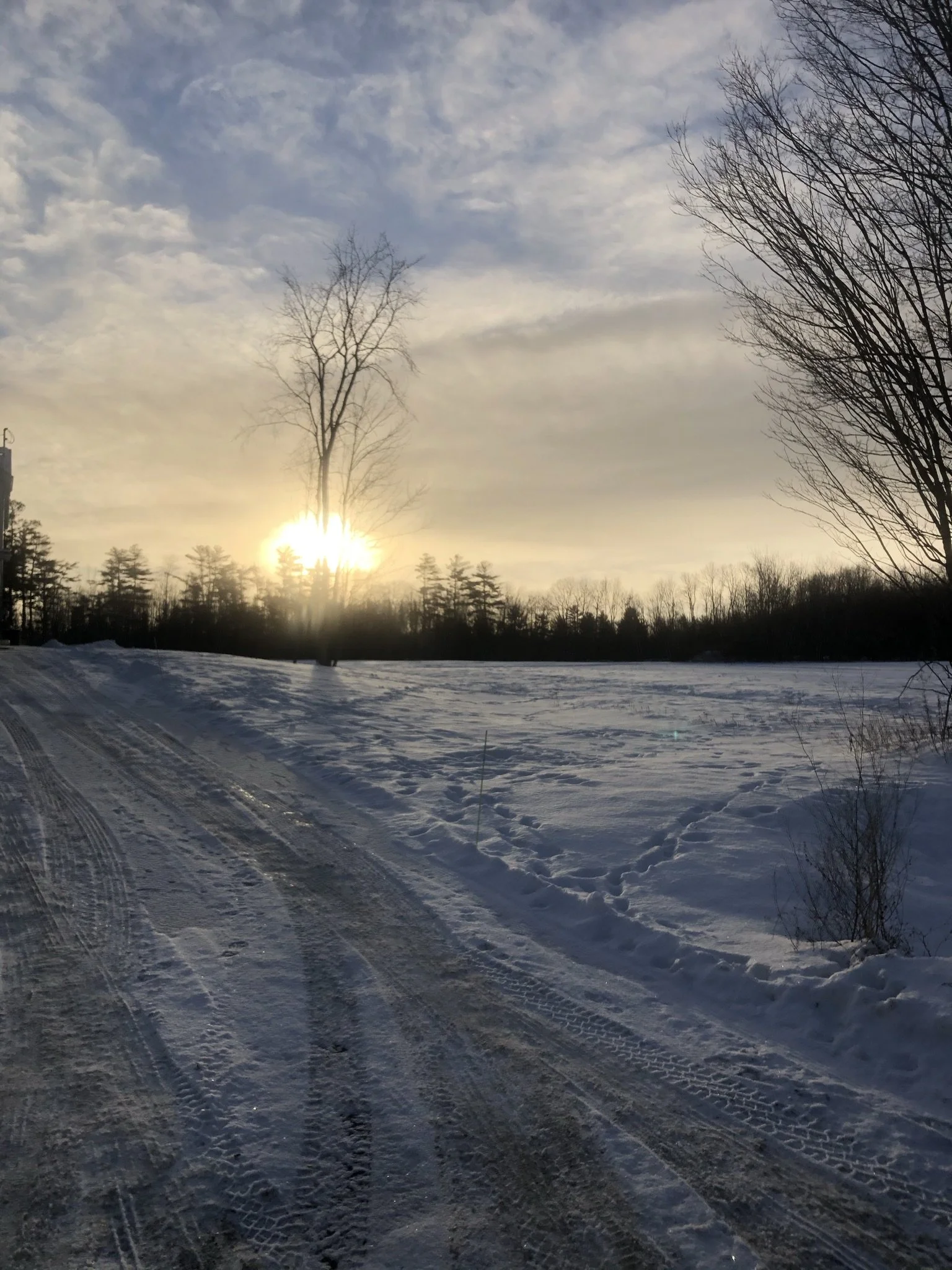 Reflecting on Your Year: Reviewing Your Financial Goals and Preparing for the New Year