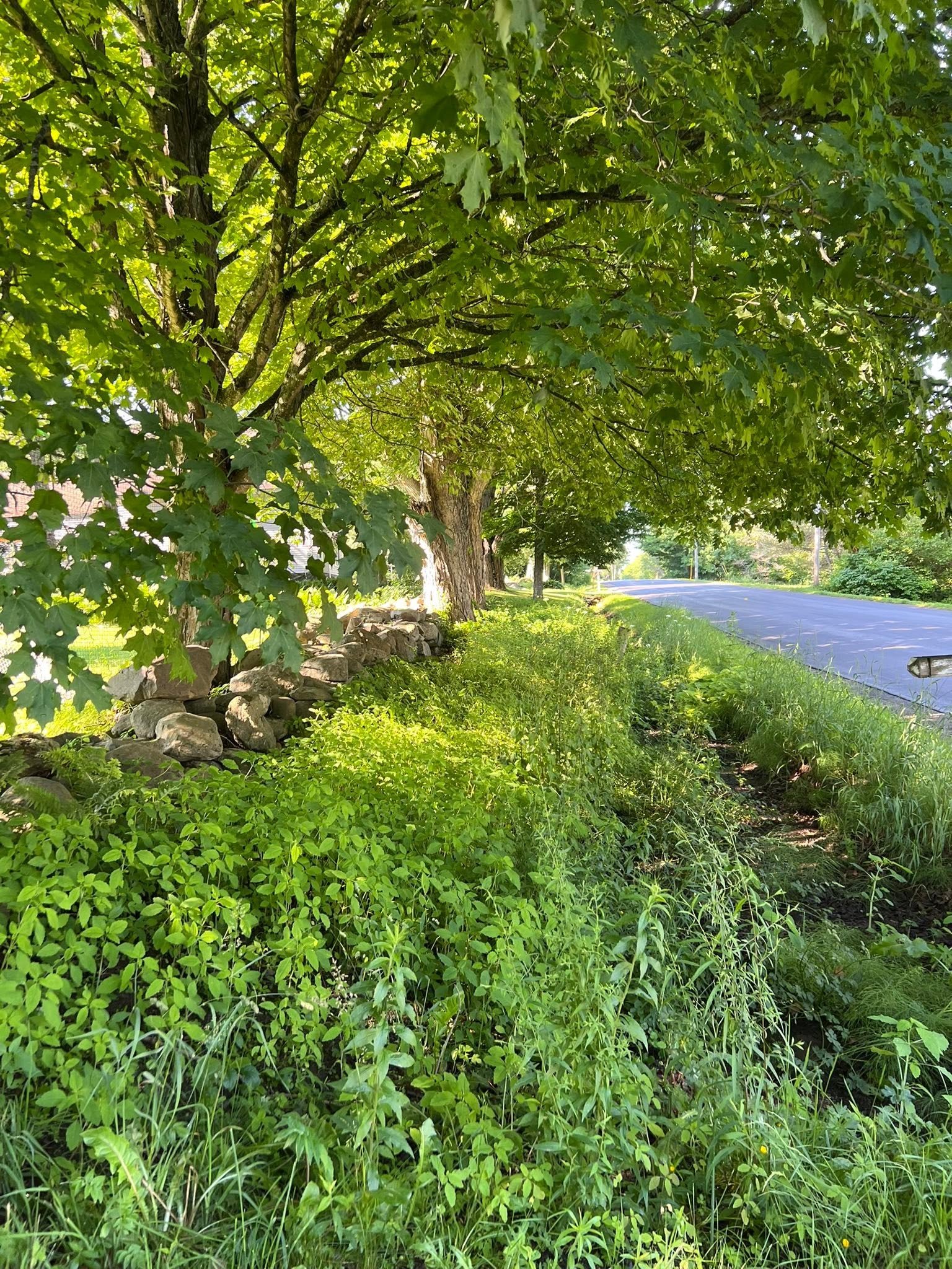 &nbsp;Balancing Security &amp; Growth in Retirement