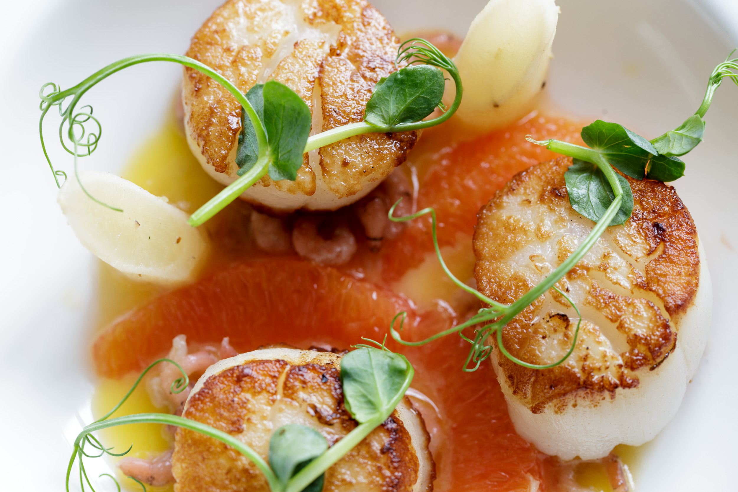 Seafood photography at Restaurant in Wales