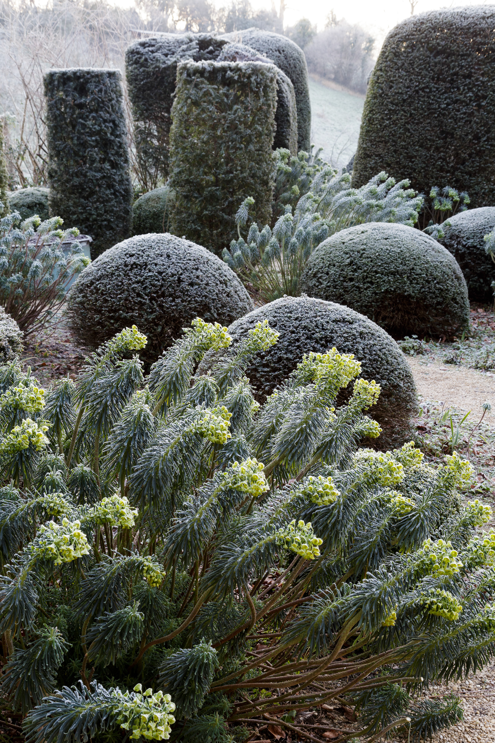 Garden photography at Hanham Court Gardens, winter