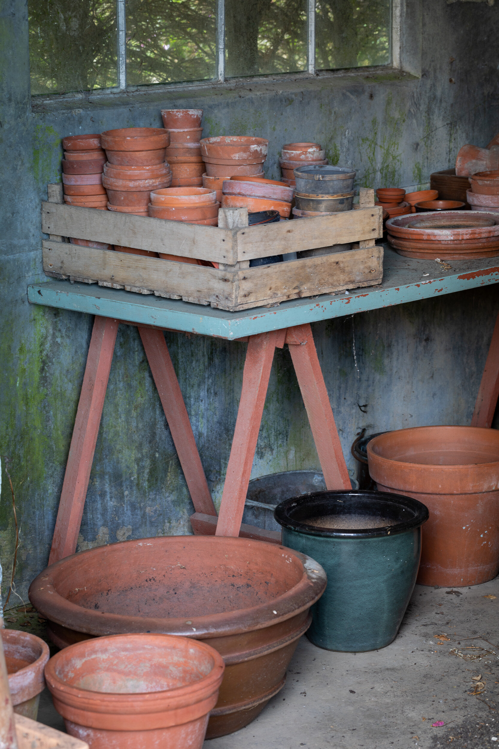 Yews Farm, Somerset, Garden Photography