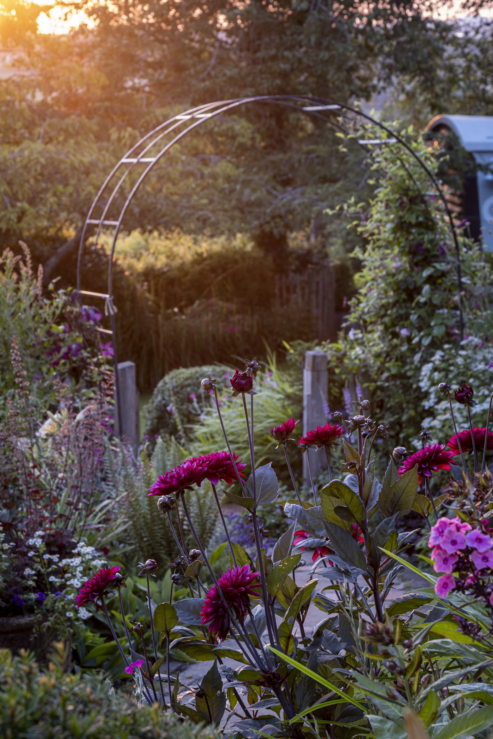 Garden Photography for Country Living magazine