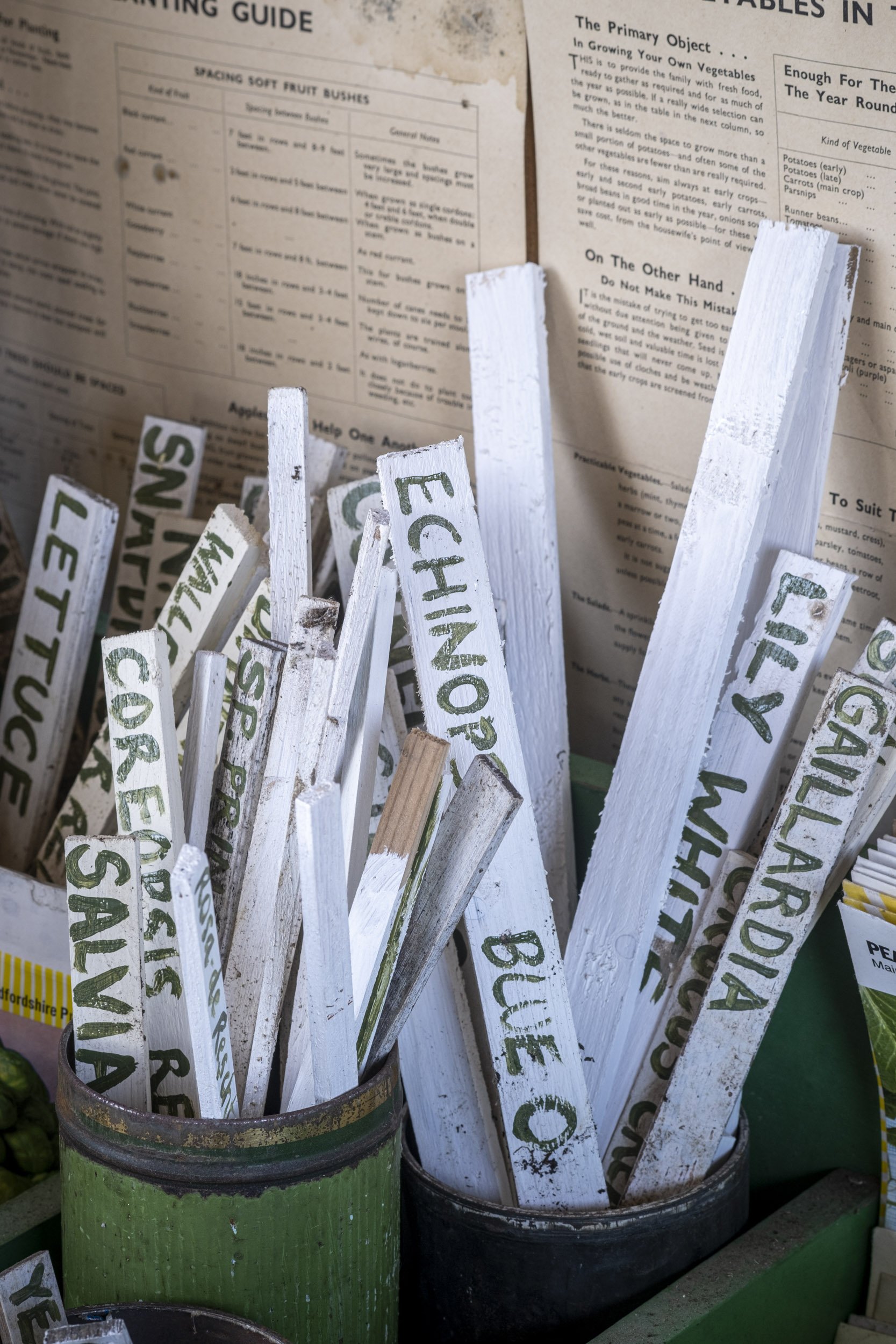 Plant labels at Beth Tarling's garden in Cornwall