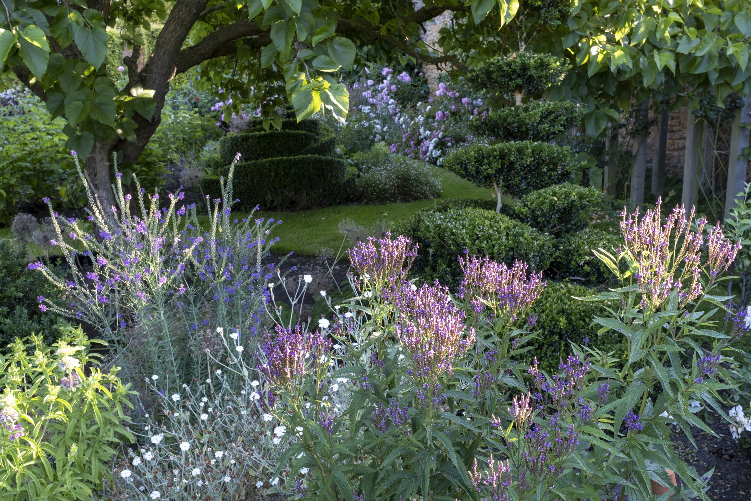 Yews Farm, Somerset, garden photography