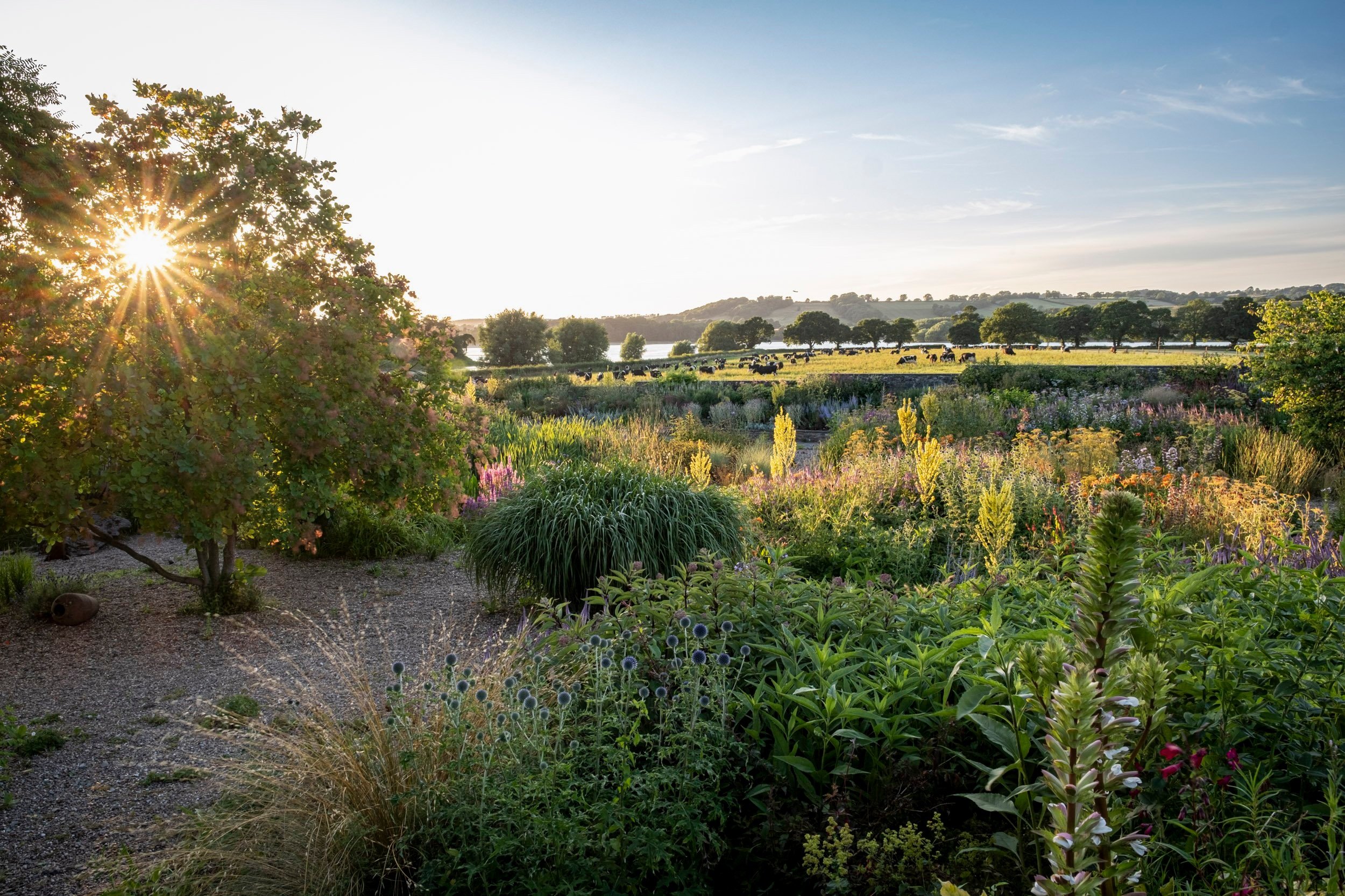 Sarah Mead's garden at Holt Farm, Somerset