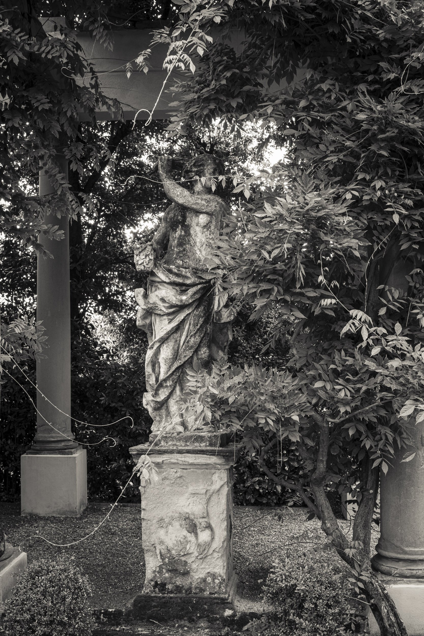 Photography of Villa La Pietra Garden, Florence, Italy