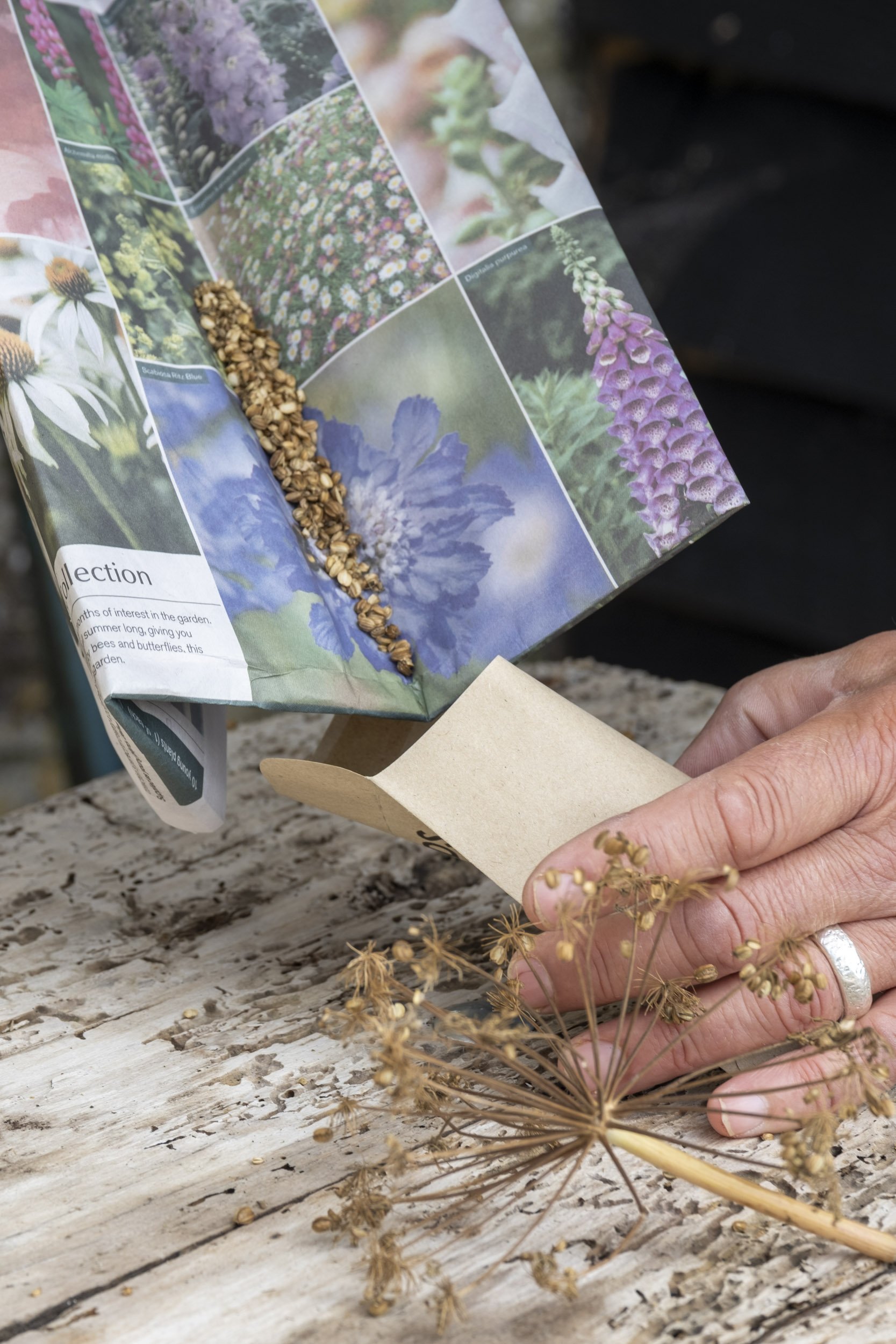 Photography of Saving Seeds for 'A New Cottage Garden' , Pimpernel Press