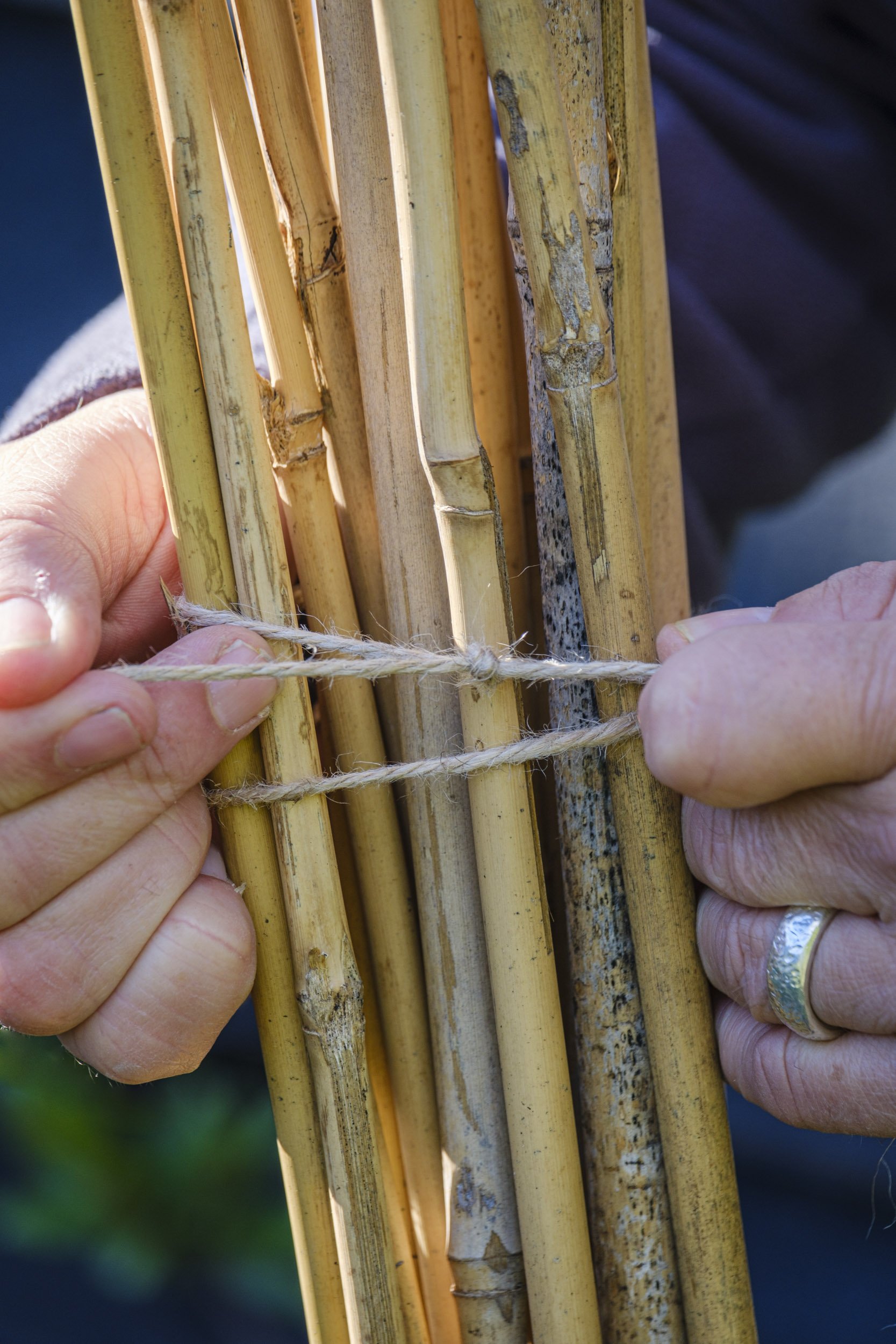 Tying up bamboo canes, winter, photography for Pimpernel Press