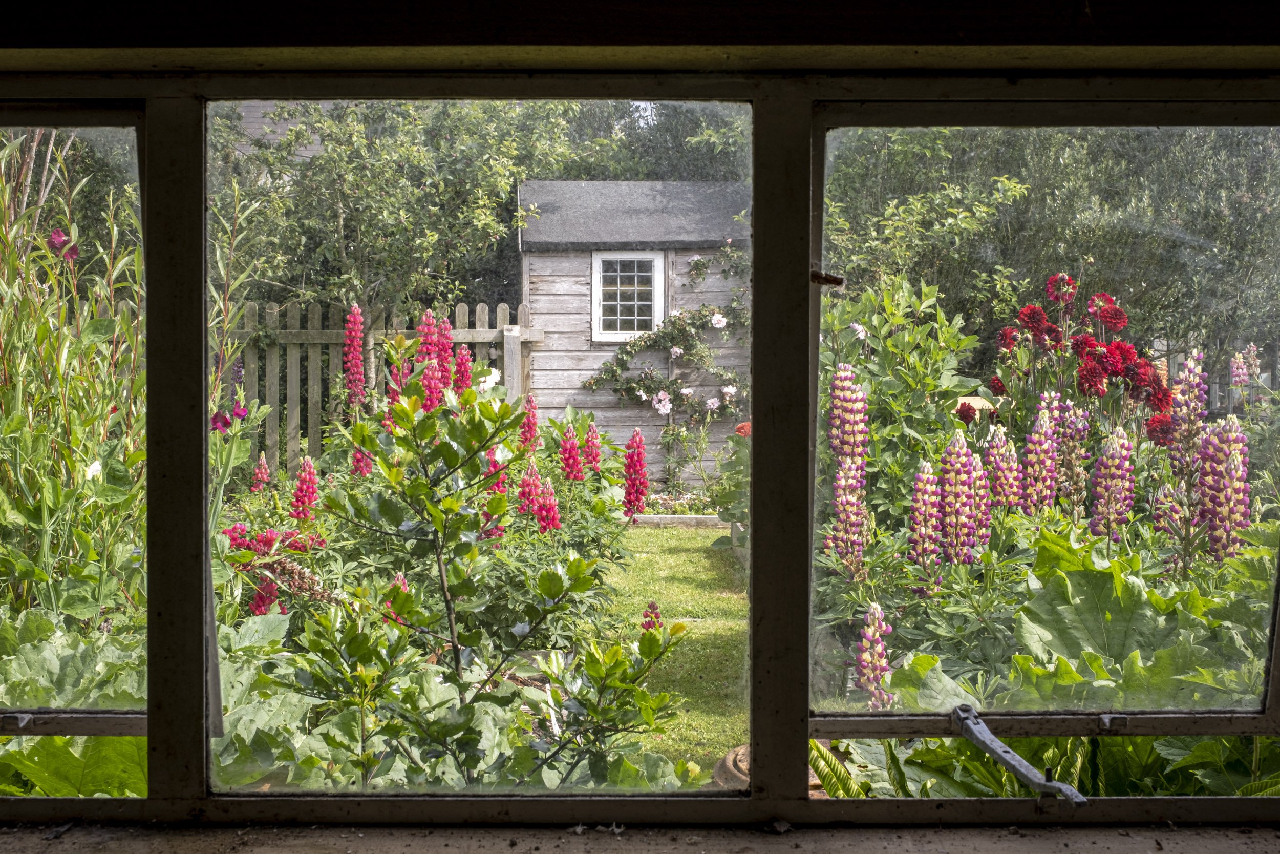 Garden Photography at Beth's Potting shed, Cornwall