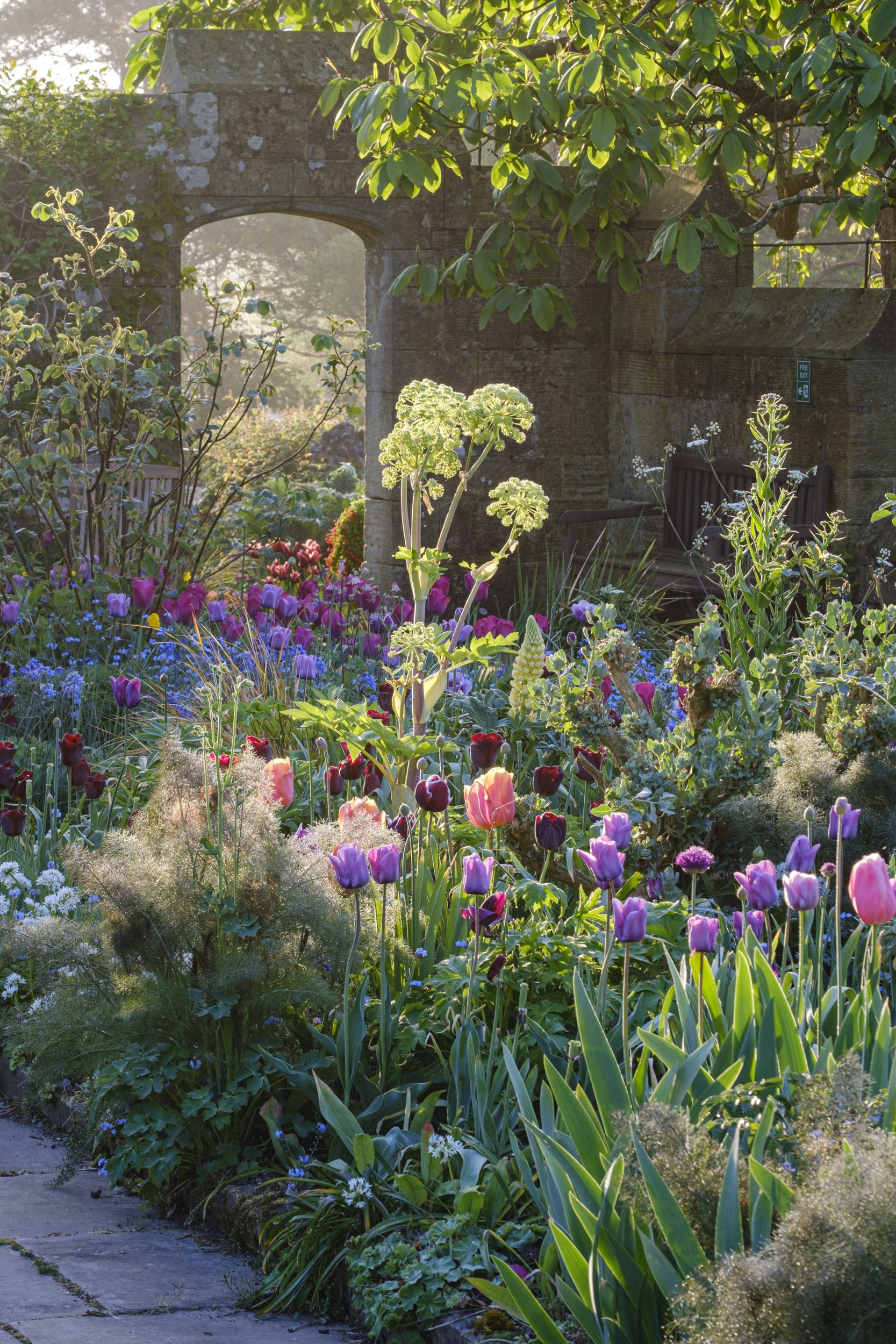 Garden photography at Gravetye Manor in Sussex