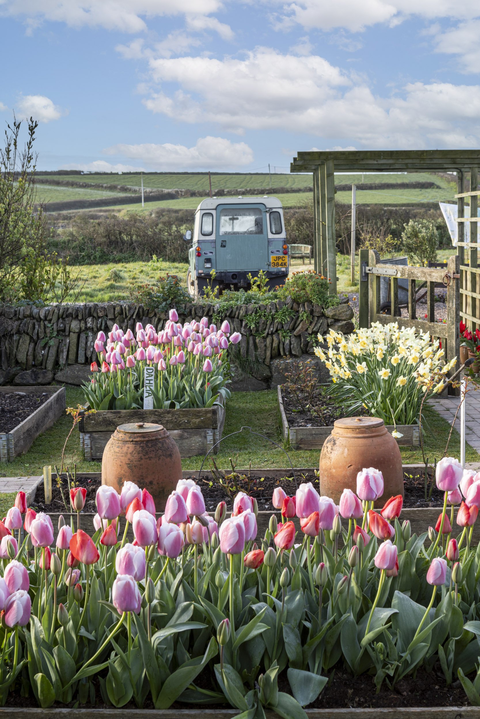 Spring at Beth Tarling's garden in Gunwalloe for Country Homes and Interiors