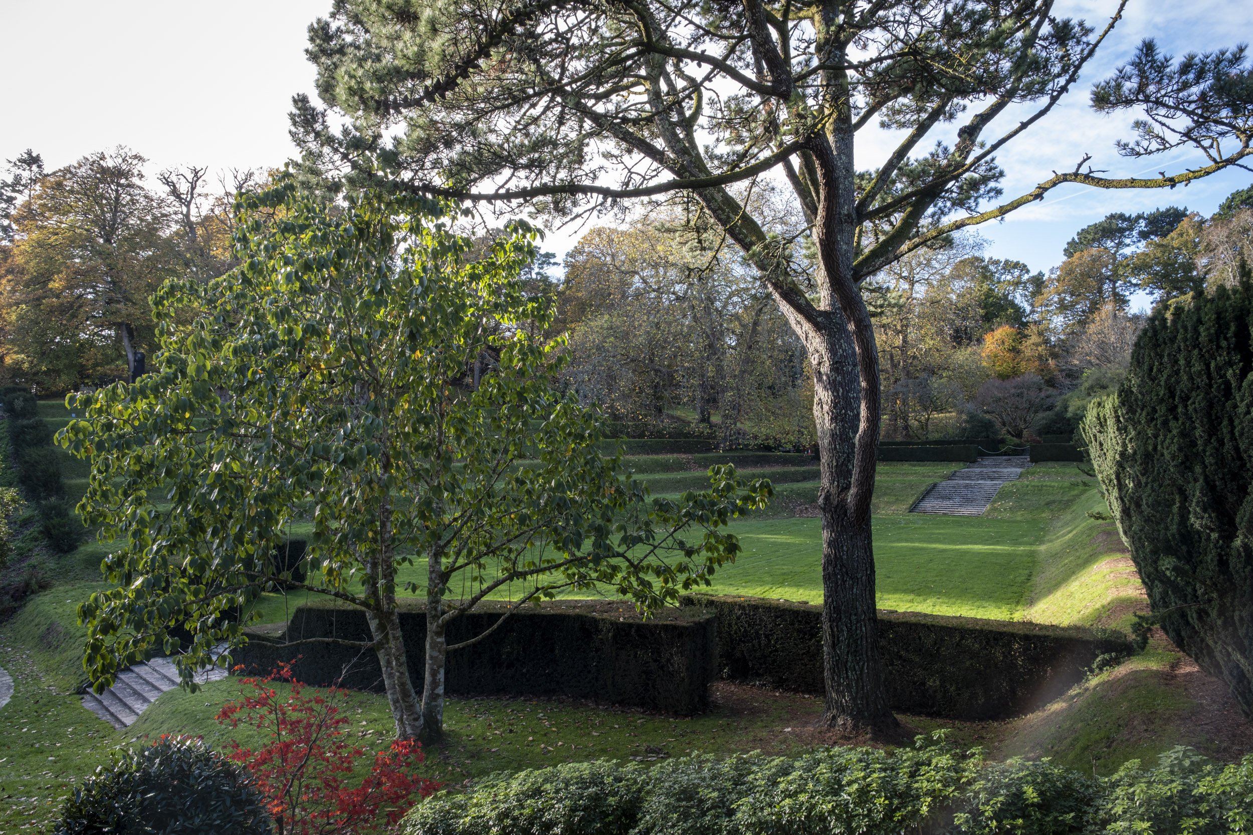 Dartington Hall garden photography