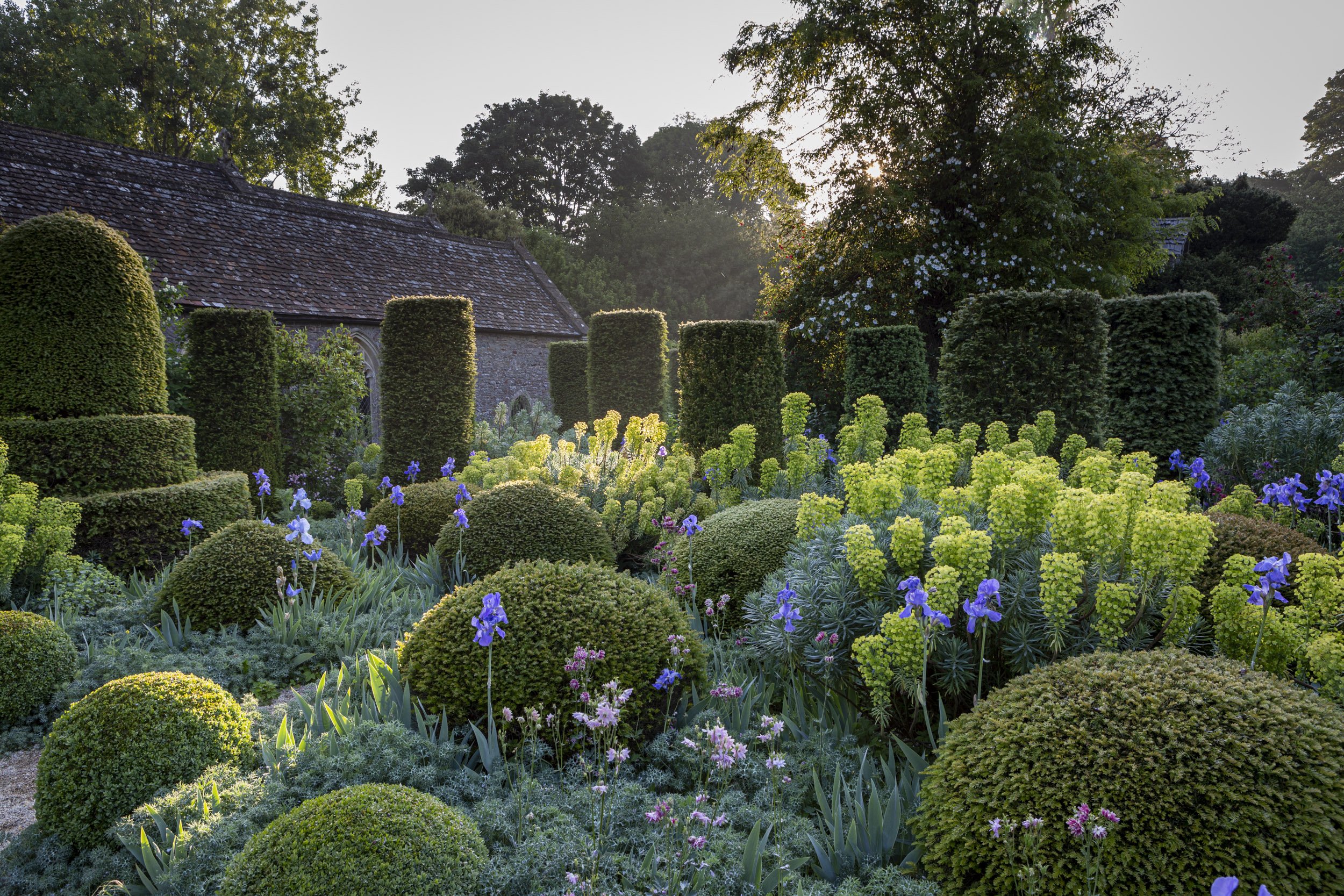 Garden Photography at Hanham Court in Bristol