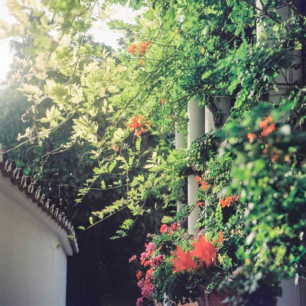 000002-2.jpg