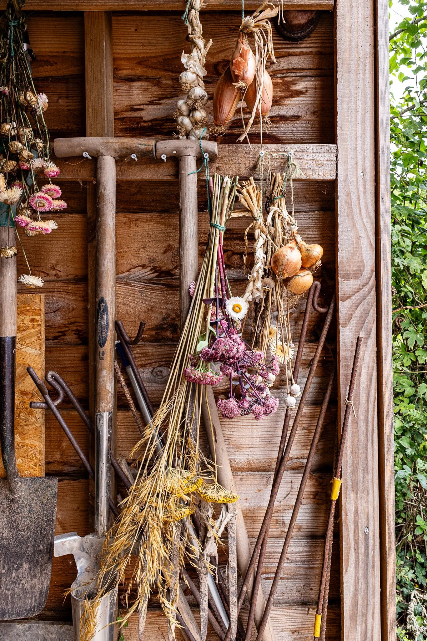 Dried flower photography for Modern Rustic