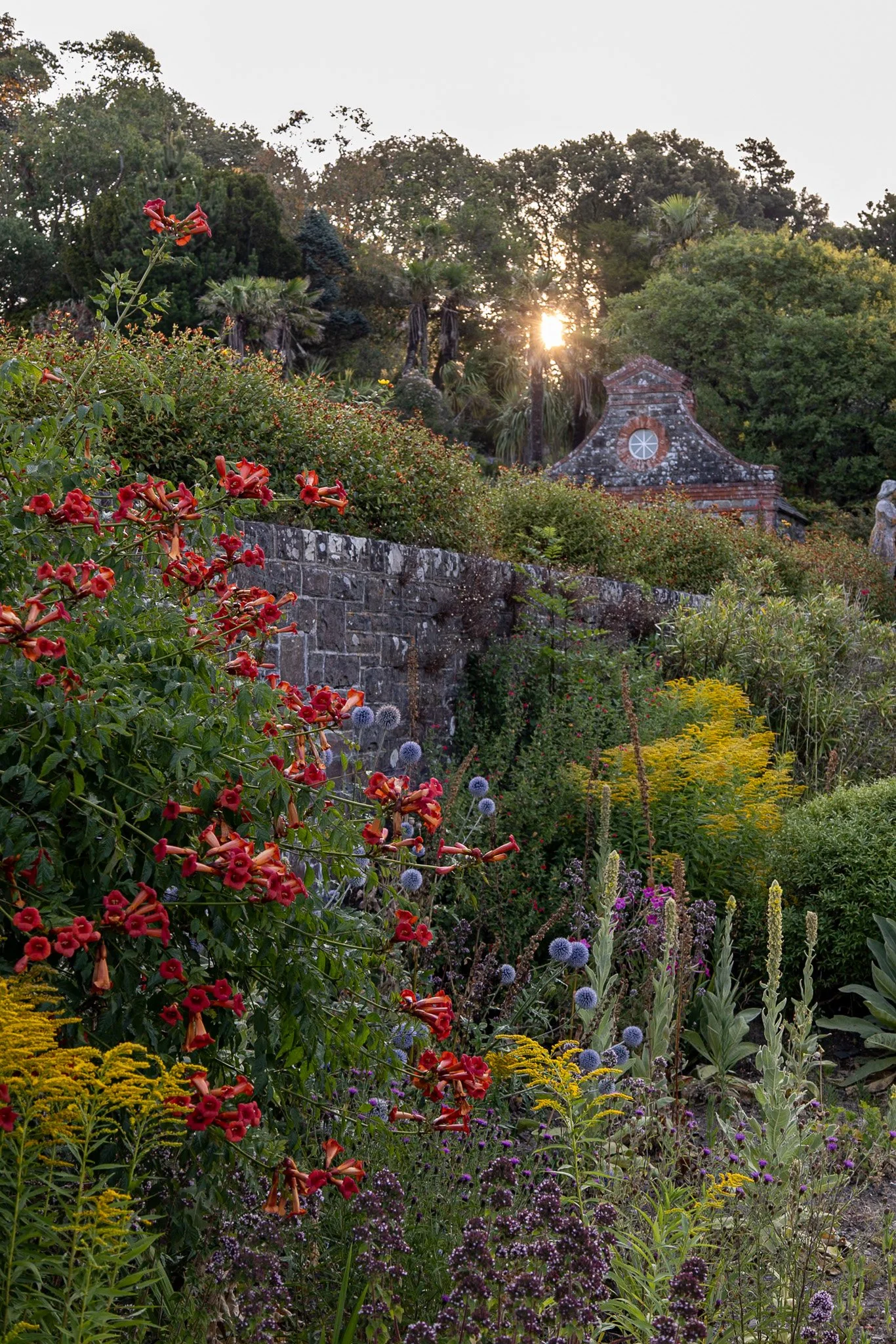 Garden Photography at Tapeley Park, Devon