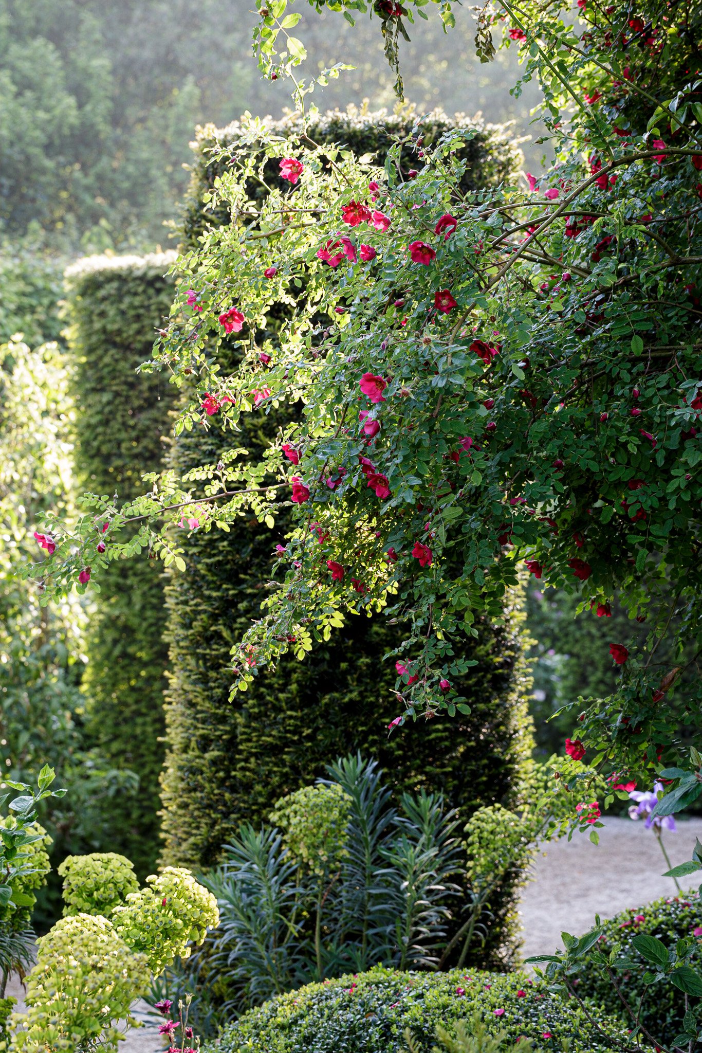 Garden Photography at Hanham Court, Bristol