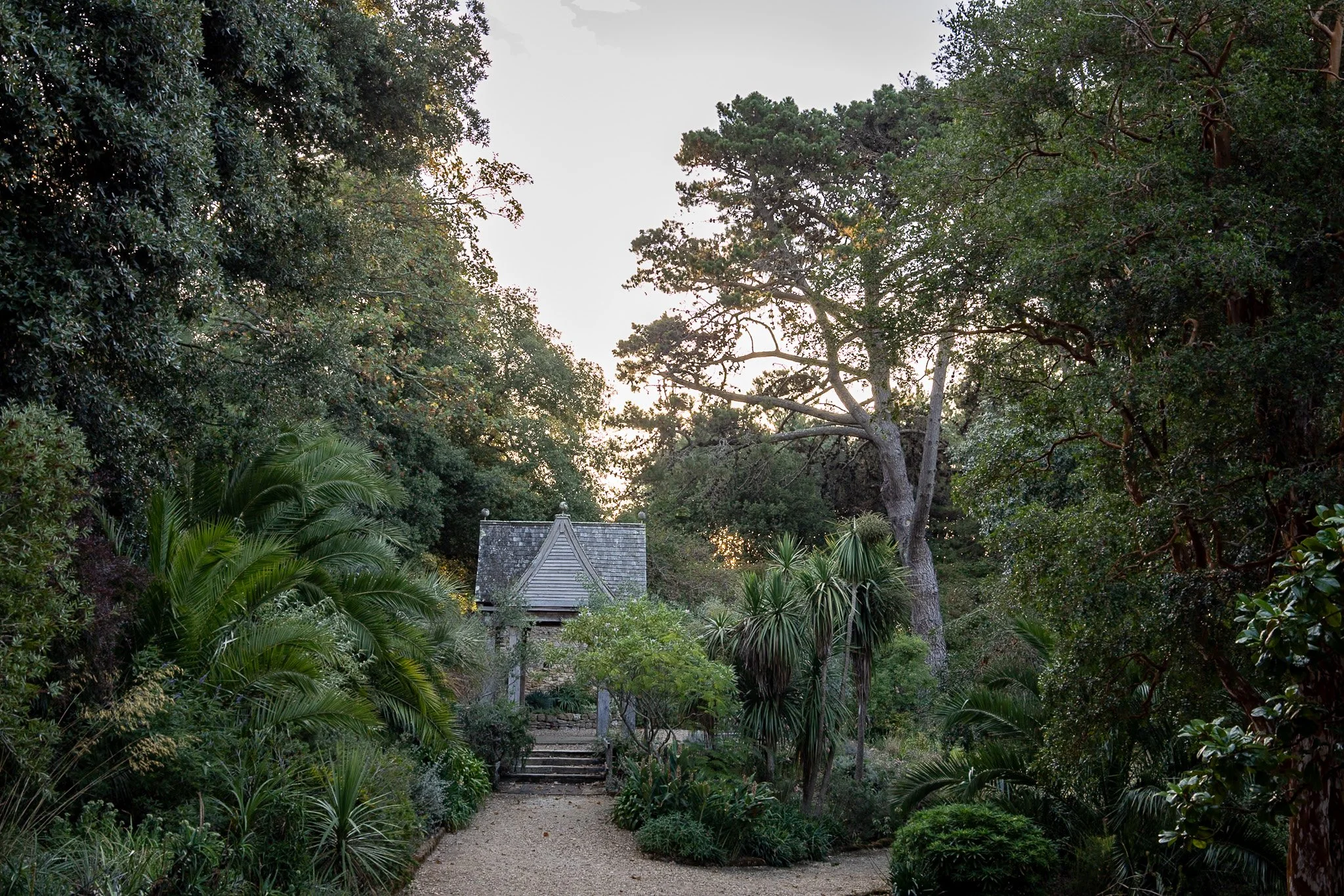 Garden Photography at Abbotsbury Gardens, Dorset