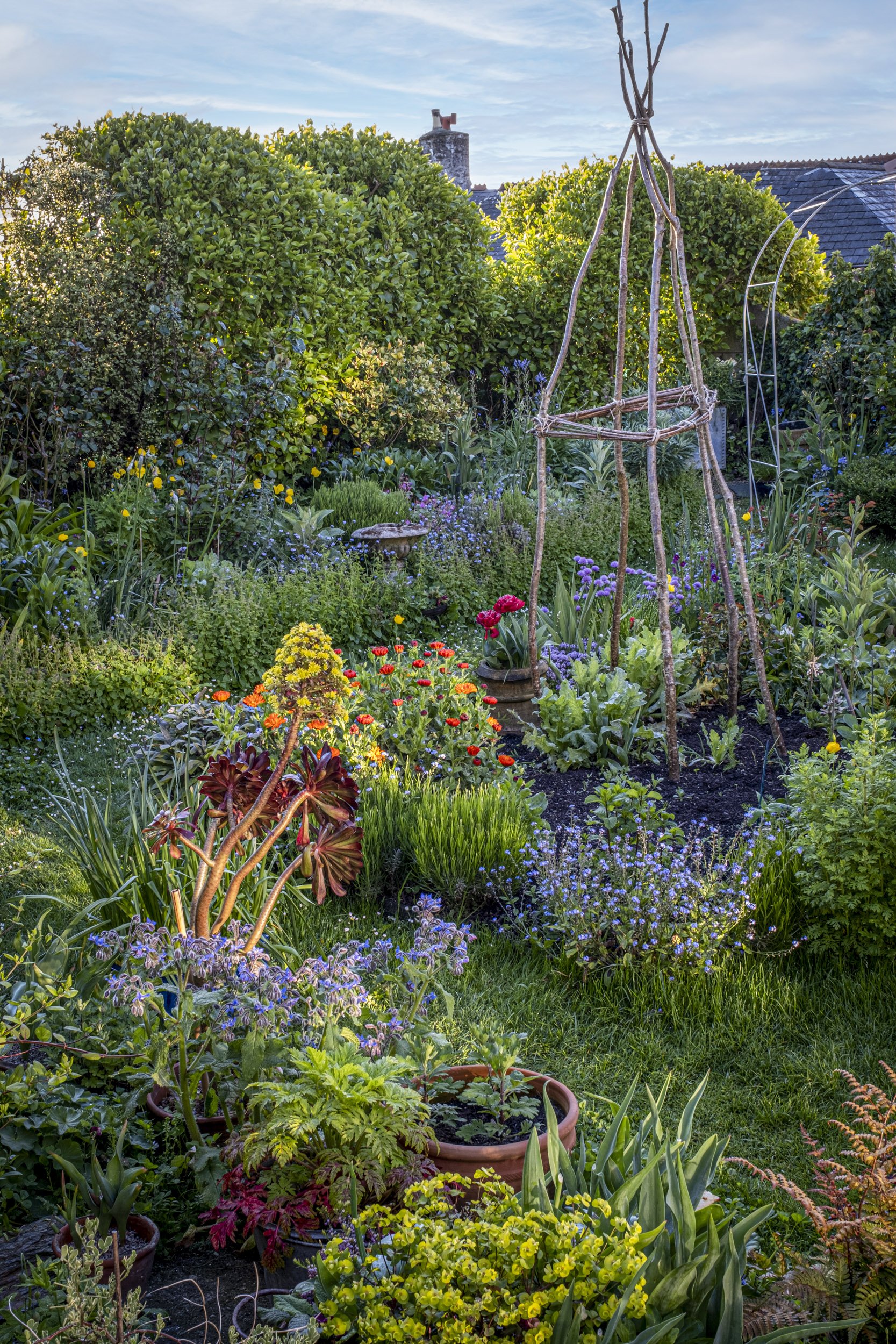 Photography at Bowhay House for 'A New Cottage Garden' to be published by Pimpernel Press 2024