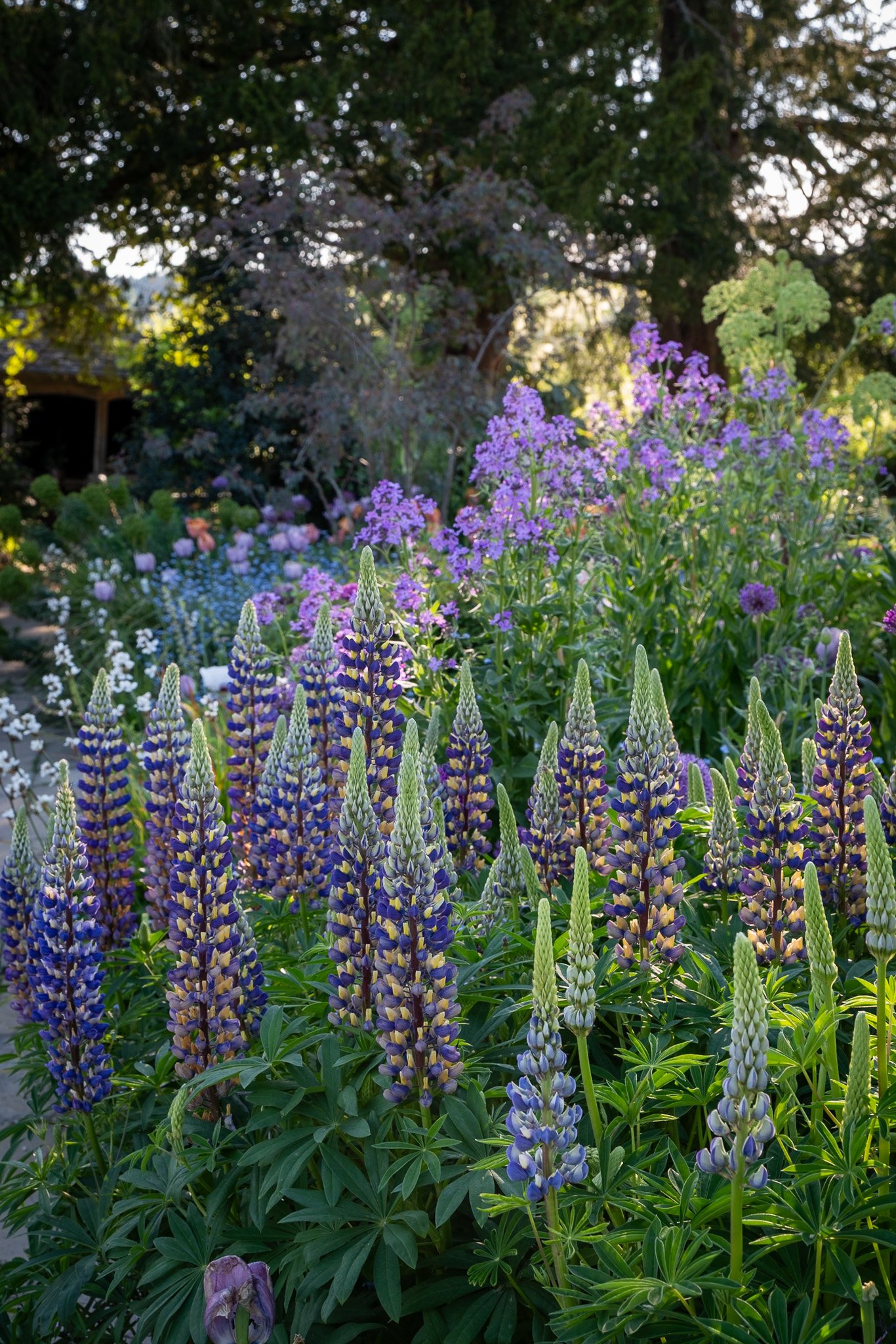 Garden Photography at Gravetye Manor, Sussex