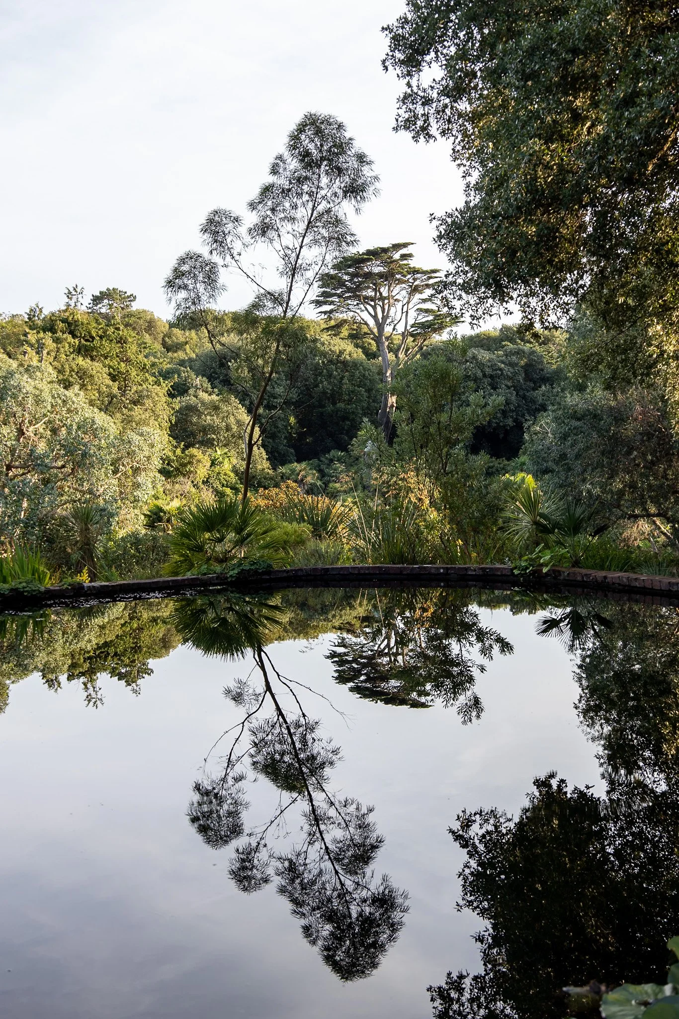 Reflections in a pond at Abbotsbury Gardens, Dorset