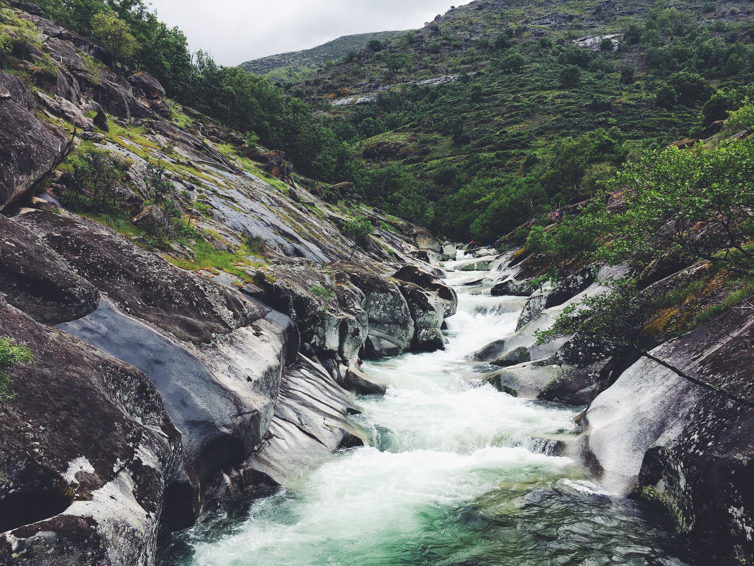 MOUNTAIN RIVERS