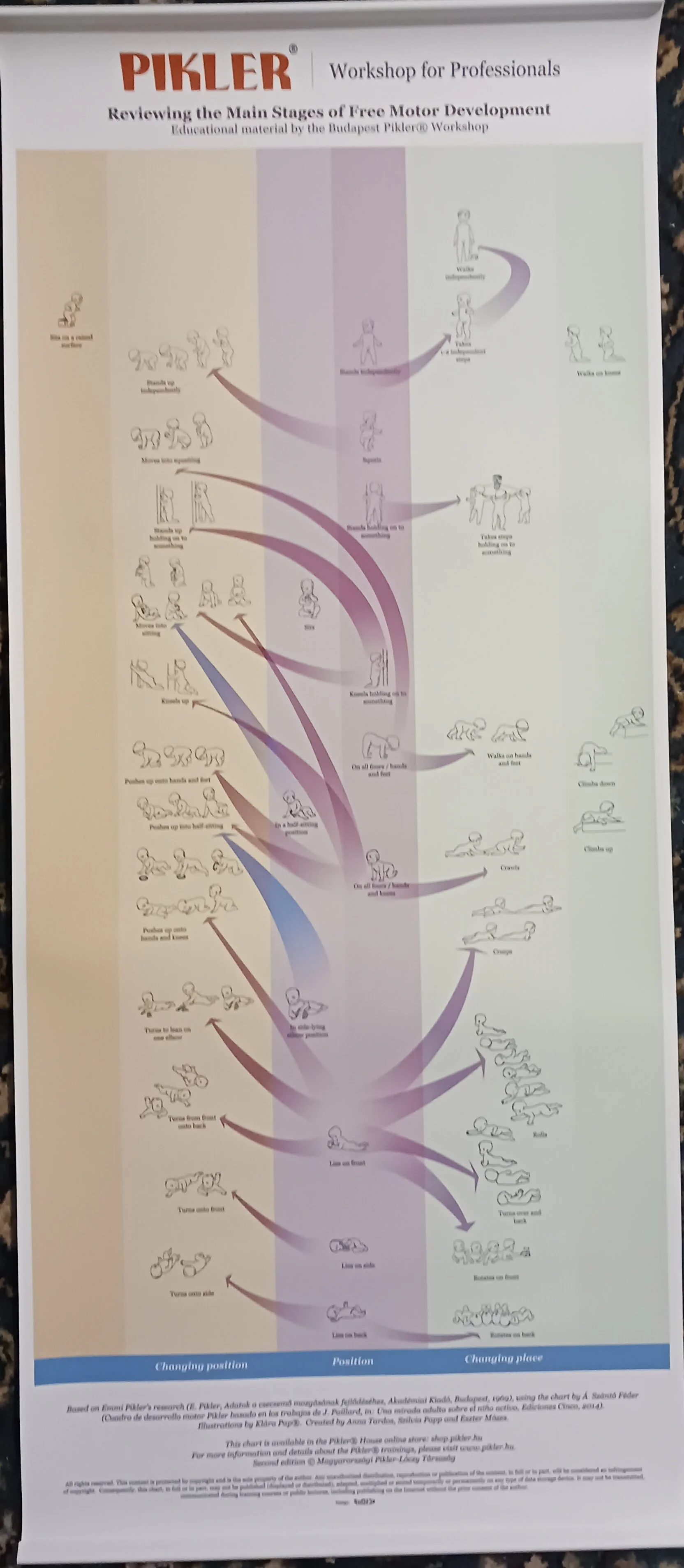 Reviewing the Main Stages of Free Motor Development