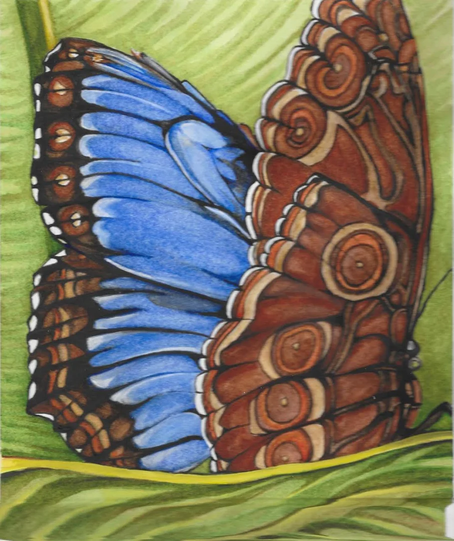 butterfly4.jpeg