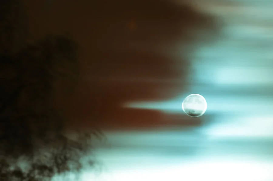 Mala noche. 2012