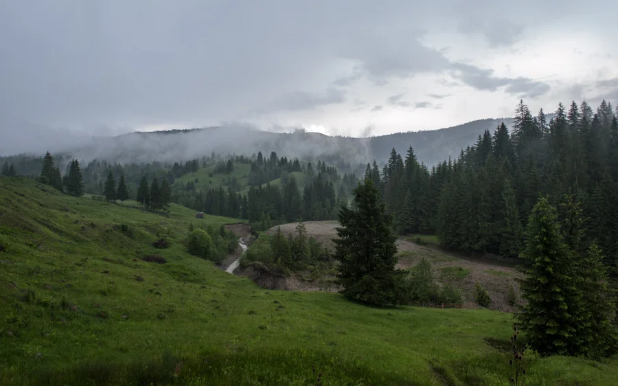 Karpathian Mountains, Romania. 2013