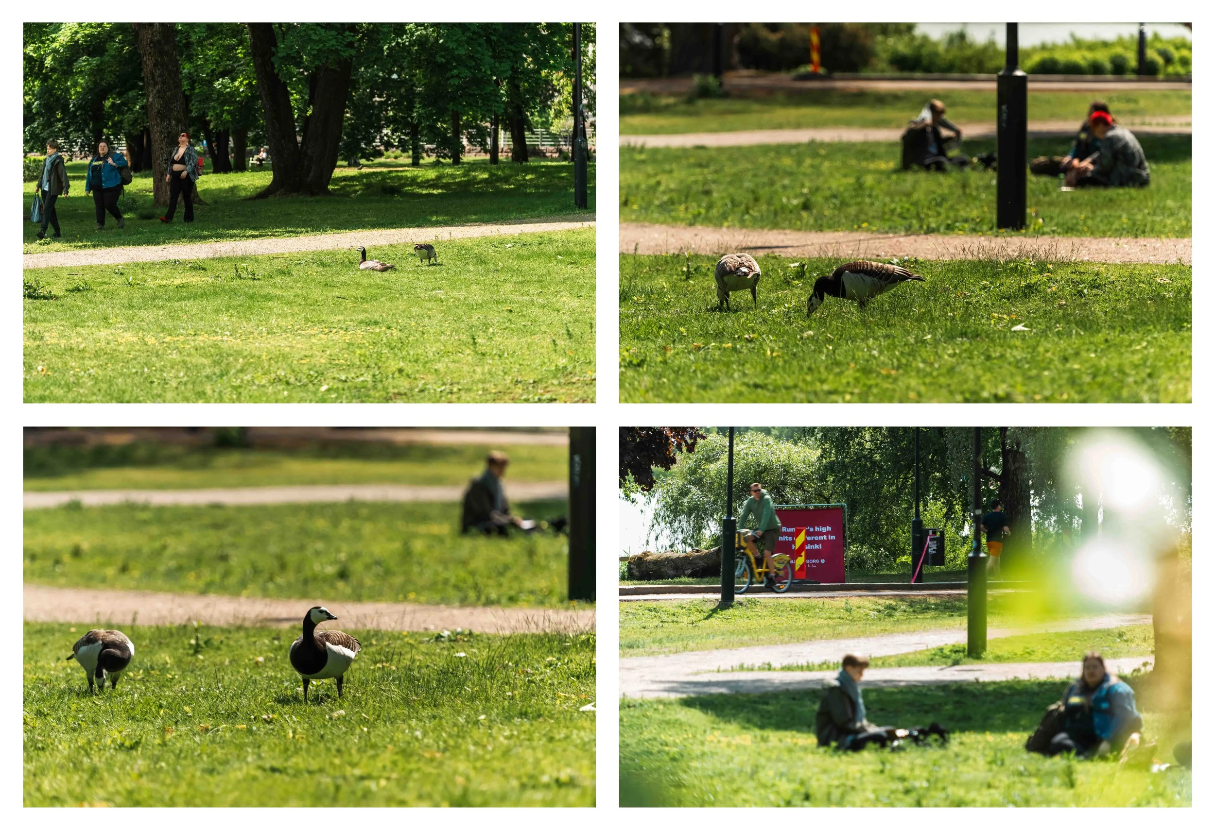 poistaminen-amik--1.jpg
