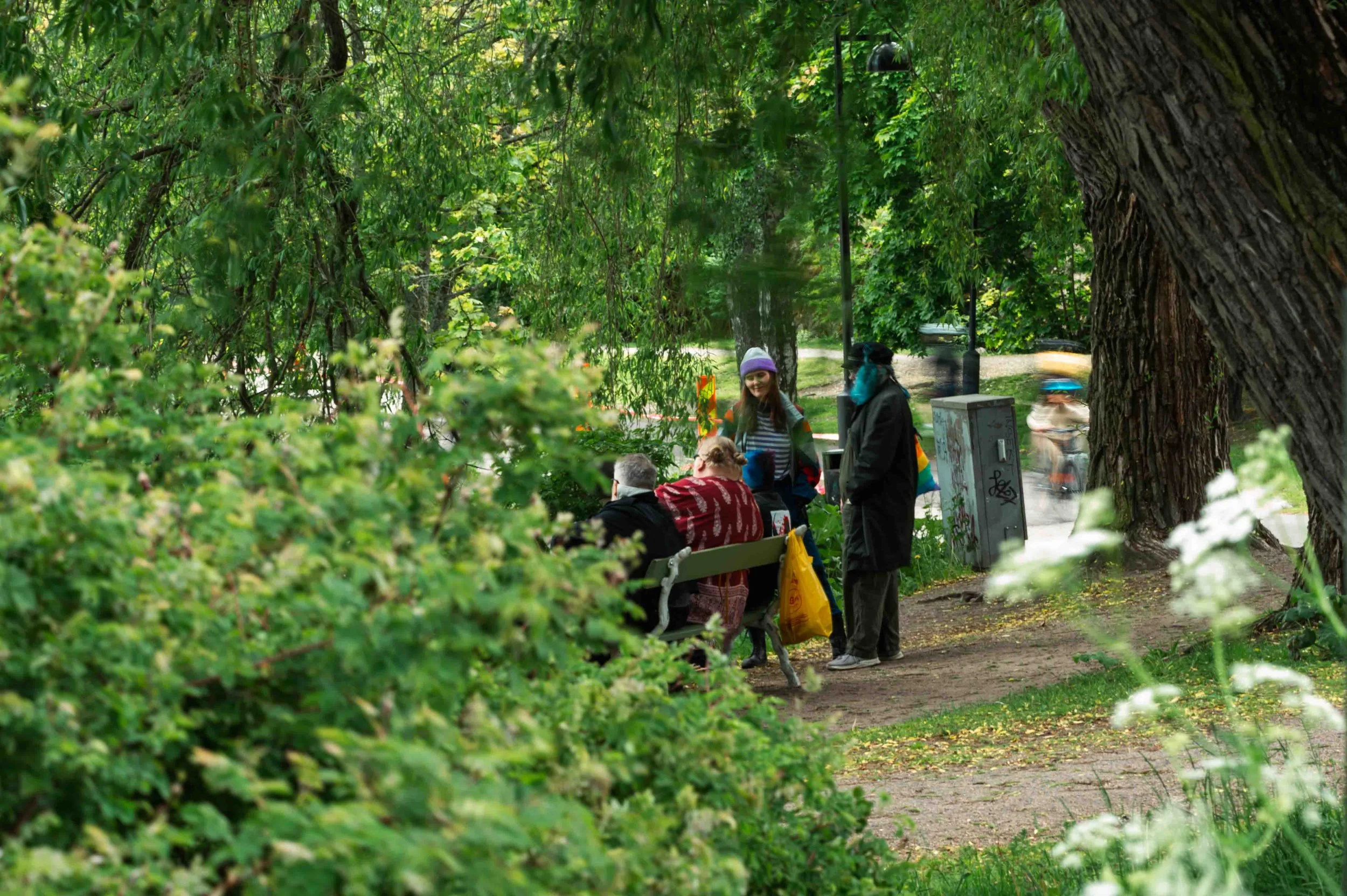 poistaminen-amik-7010.jpg