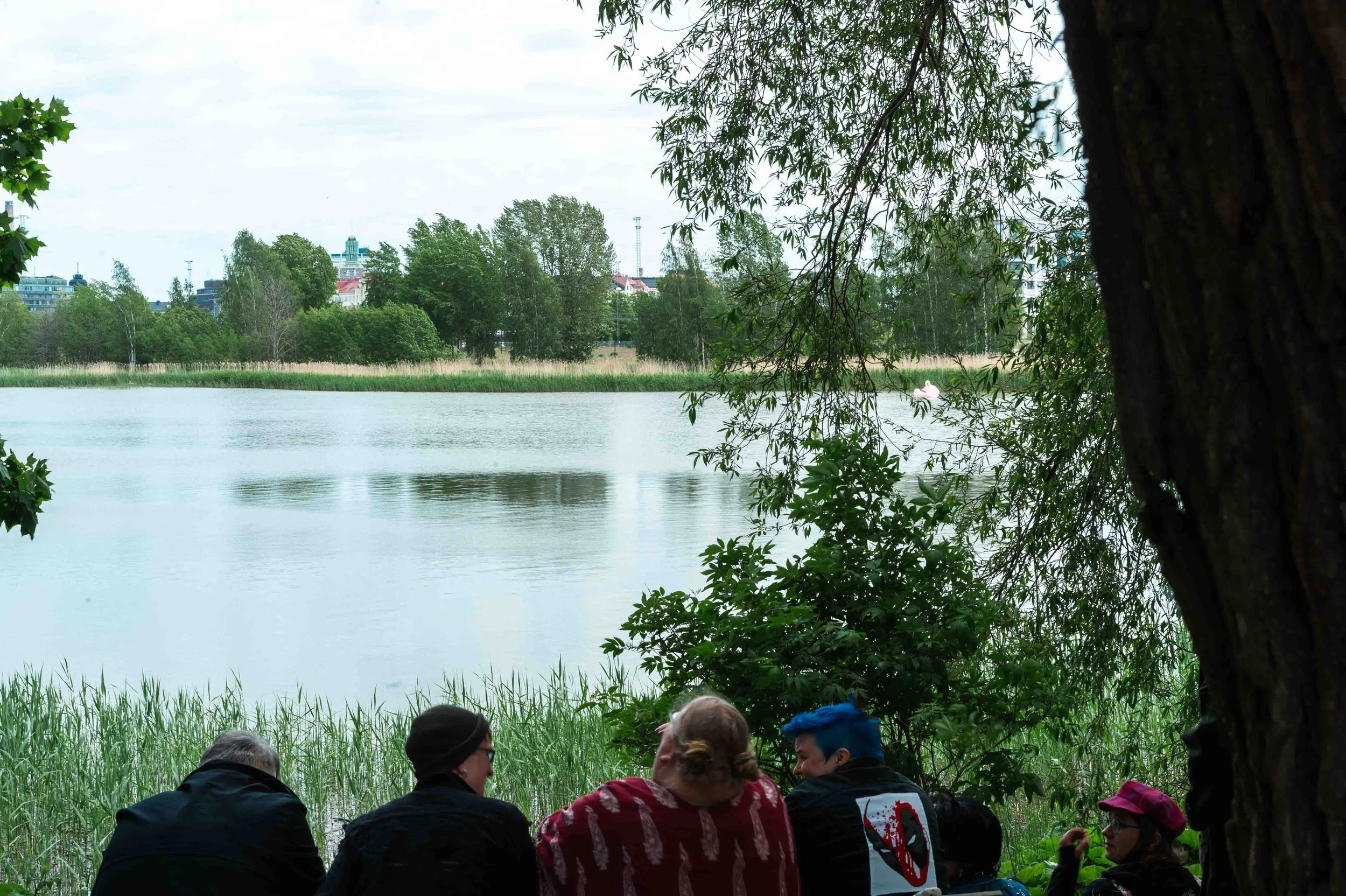 poistaminen-amik-7023.jpg