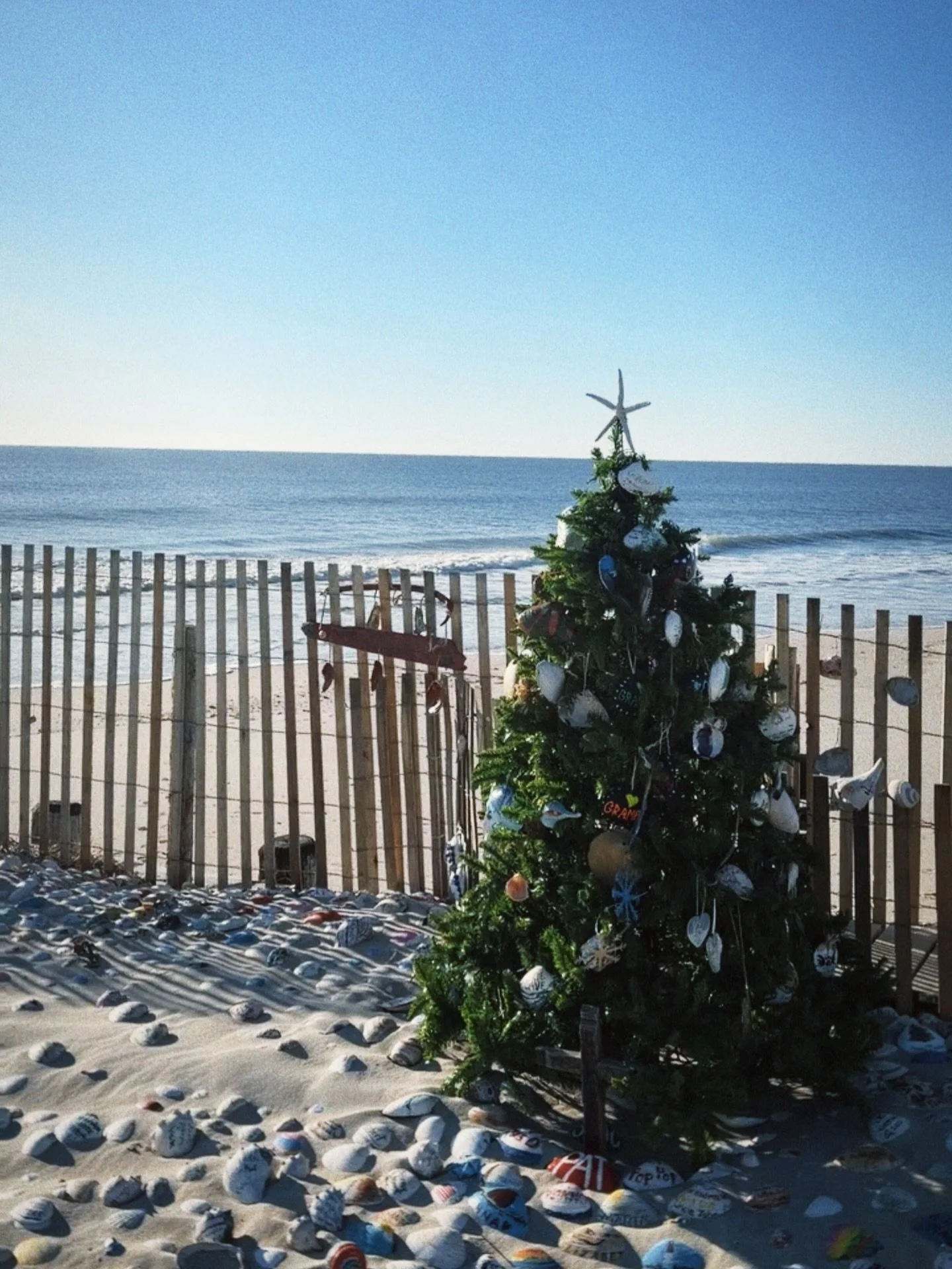 Wishing You &amp; Your Home Team the Merriest Christmas From Our Sandbar Home ❤️