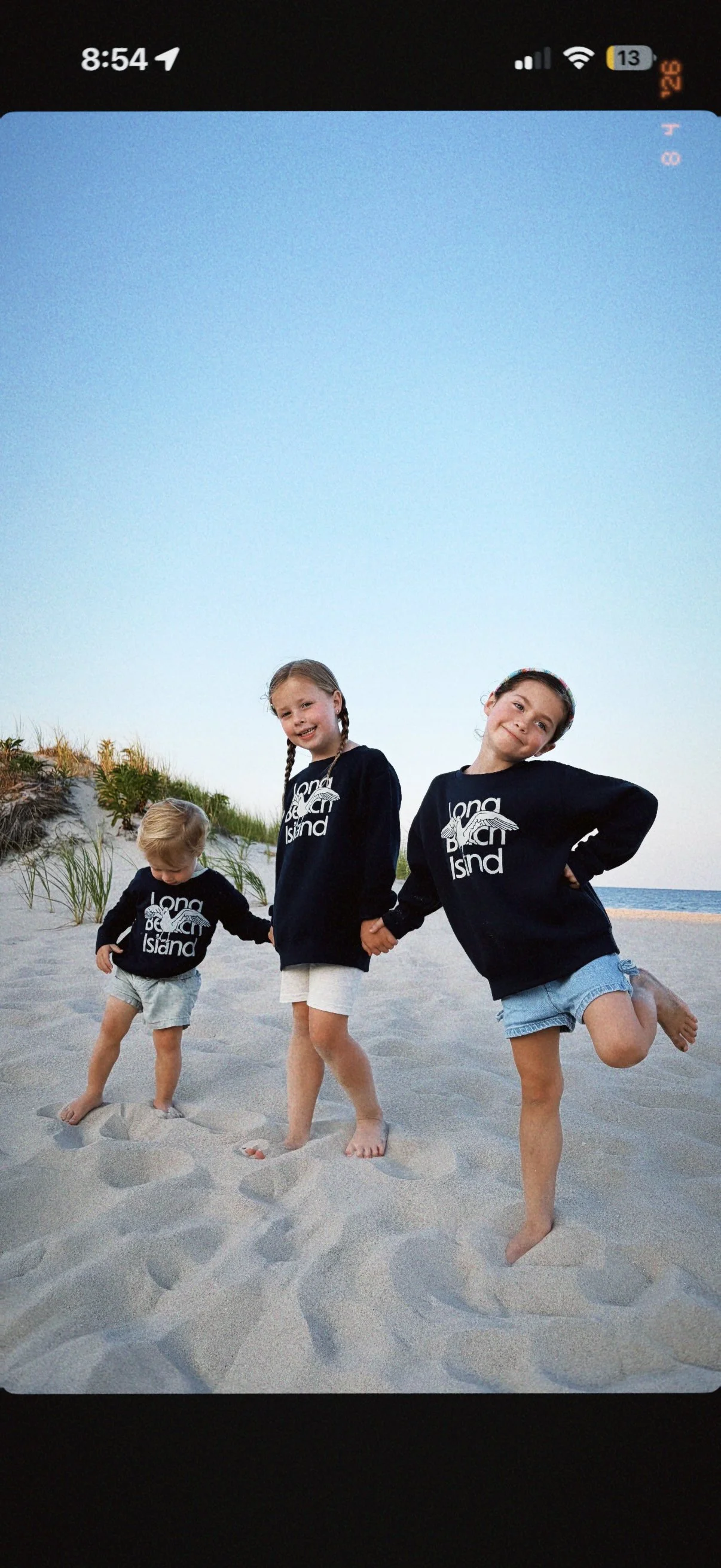 Some Coastal Town X LBI - Kids Seagull Crewneck