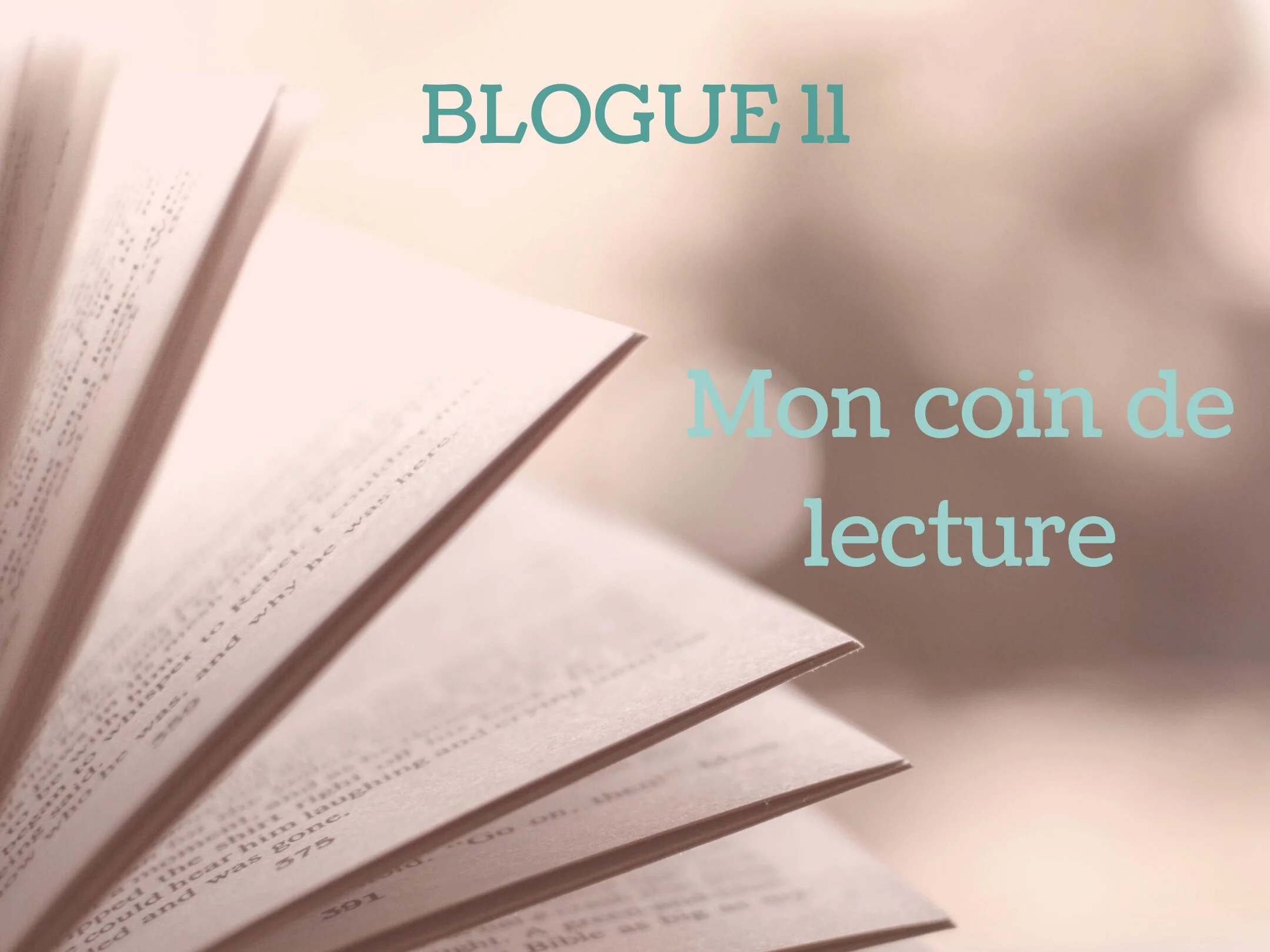 Mon coin de lecture