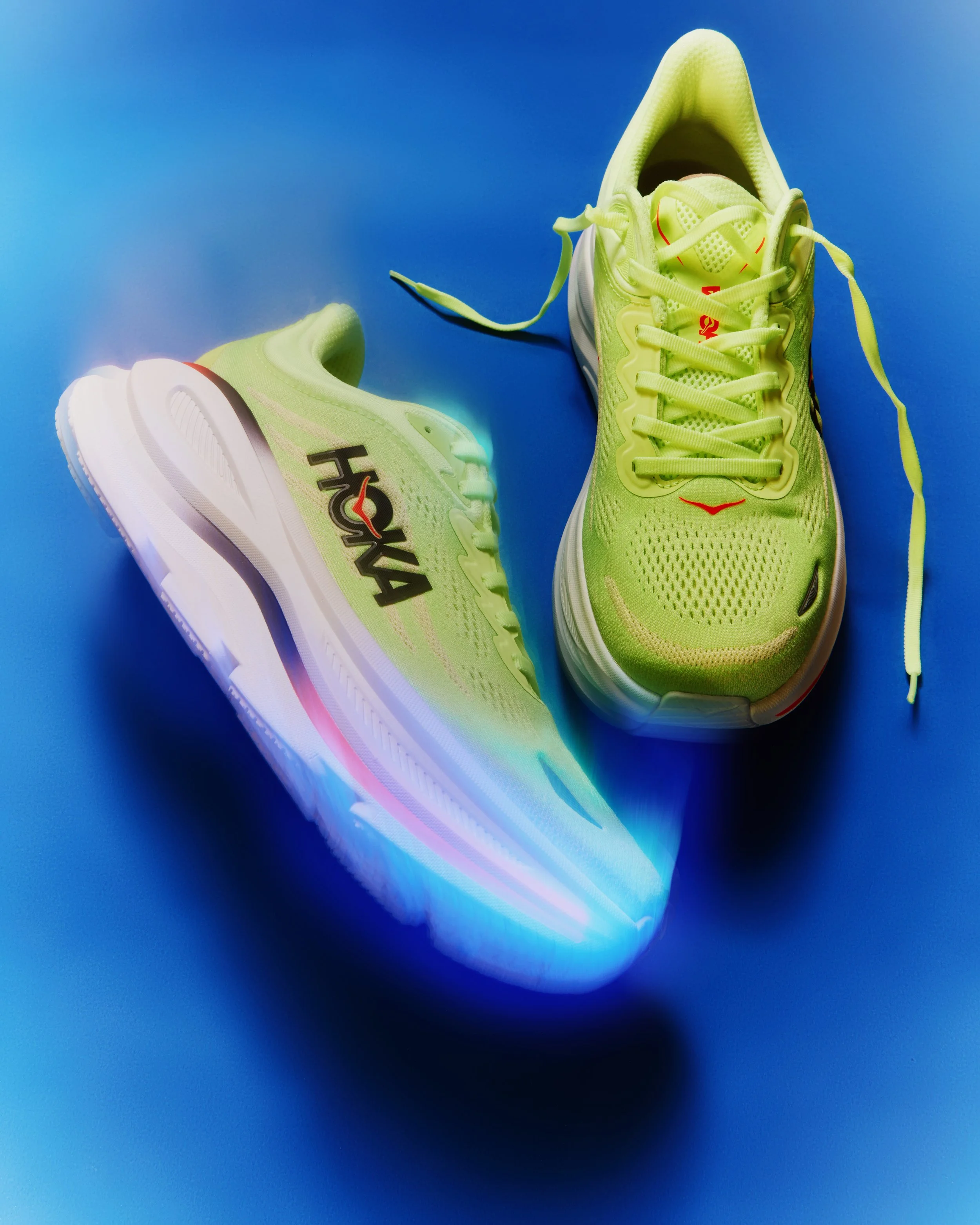 260213_AllBirds_0826-EDIT.jpg