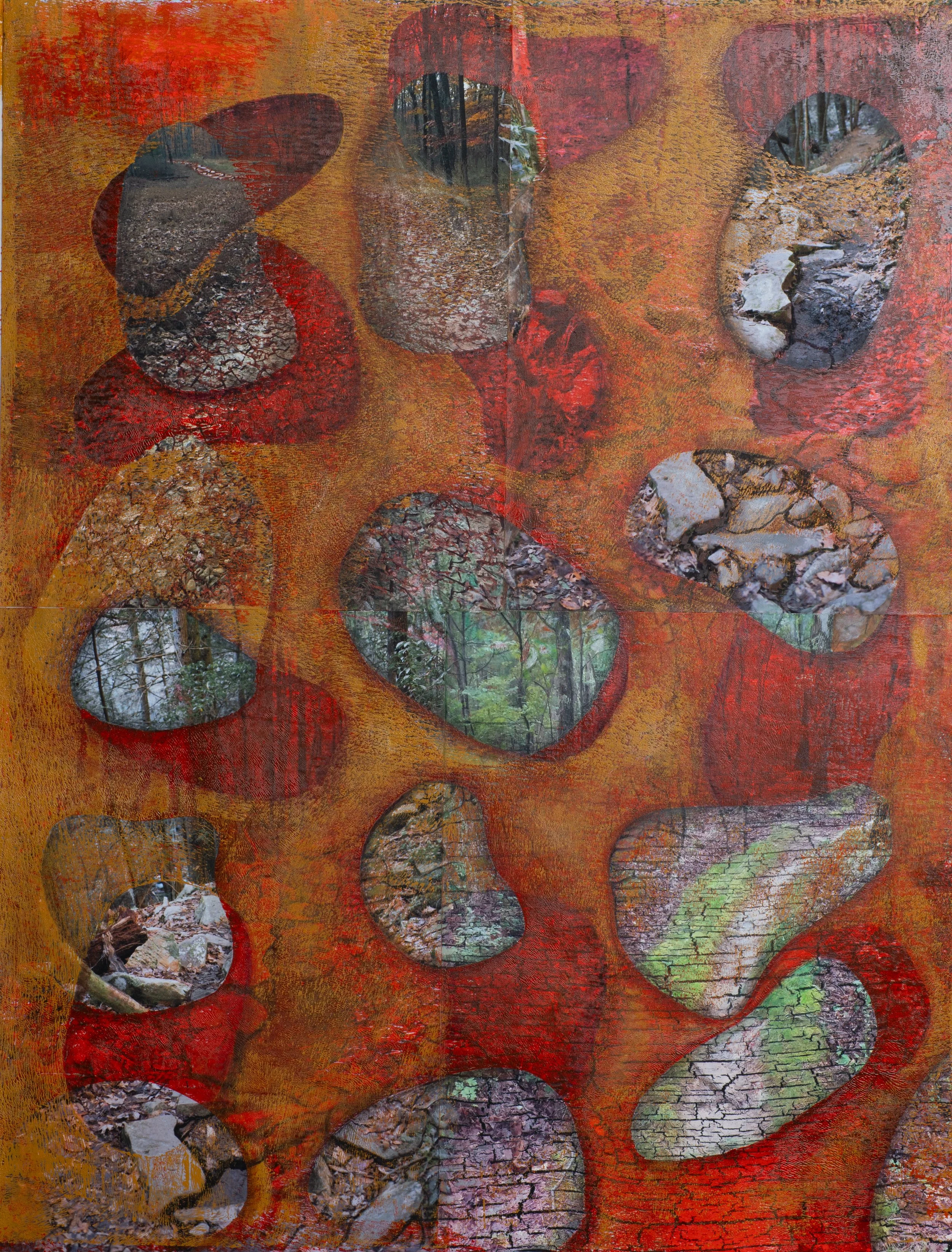 "Floating Photo Pods", Acrylic Monoprint on Photos, Colored Pencil, Acrylic Painting, 14"x18", 2026