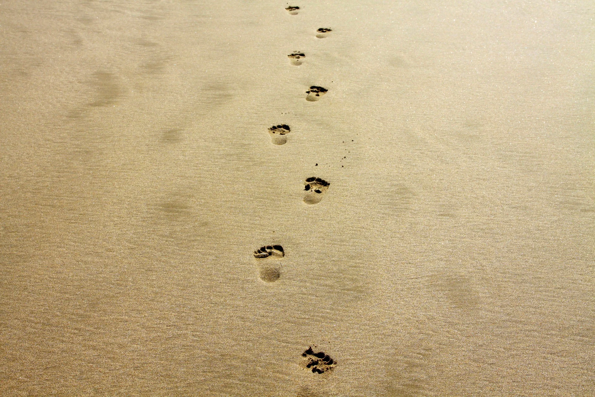 voetafdruk in zand.jpg