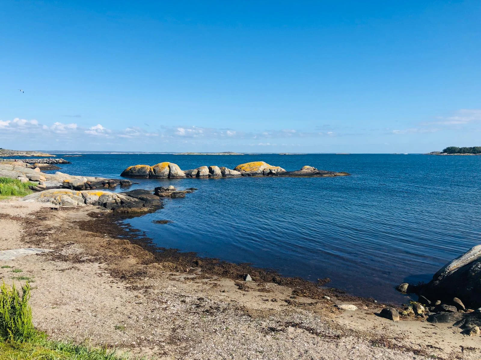 WhatsApp Image 2019-08-07 at 17.40.53(1).jpeg