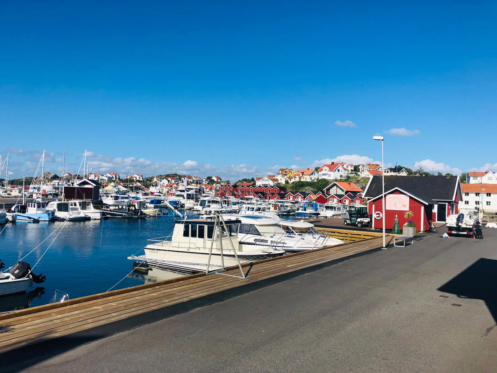 WhatsApp Image 2019-08-07 at 17.40.55.jpeg