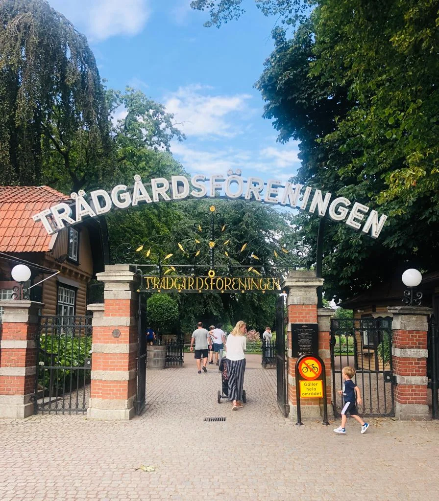 WhatsApp Image 2019-08-07 at 17.18.33(17).jpeg