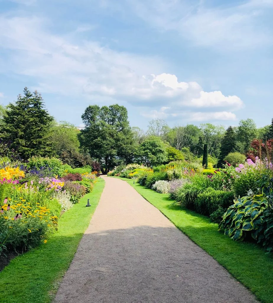 WhatsApp Image 2019-08-07 at 17.18.33(23).jpeg