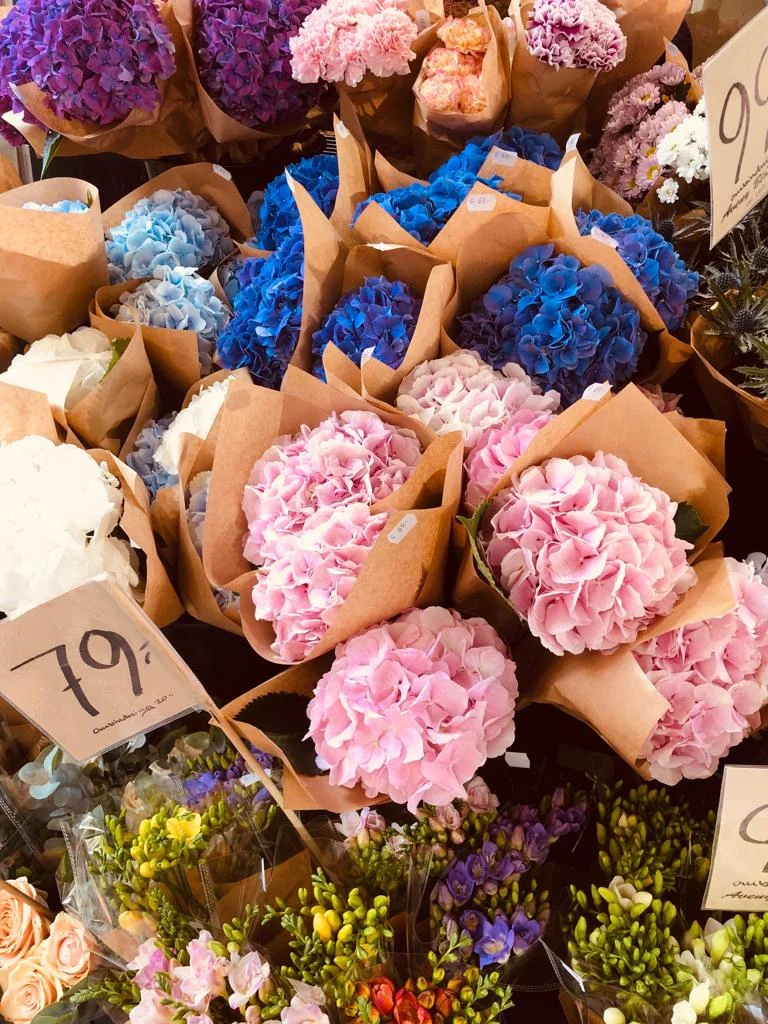 WhatsApp Image 2019-08-07 at 17.21.41(3).jpeg