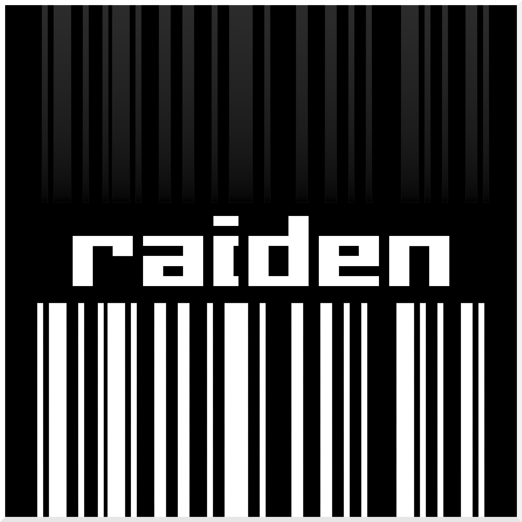 Raiden Artist.png