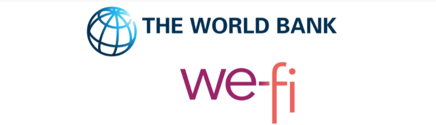 Application For Women Owned and Women-Led E-commerce Business Support In Egypt