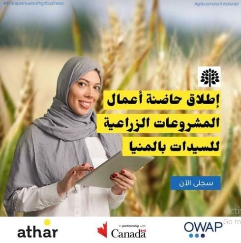 برنامج احتضان المشروعات الزراعية لرائدات الأعمال في المنيا 