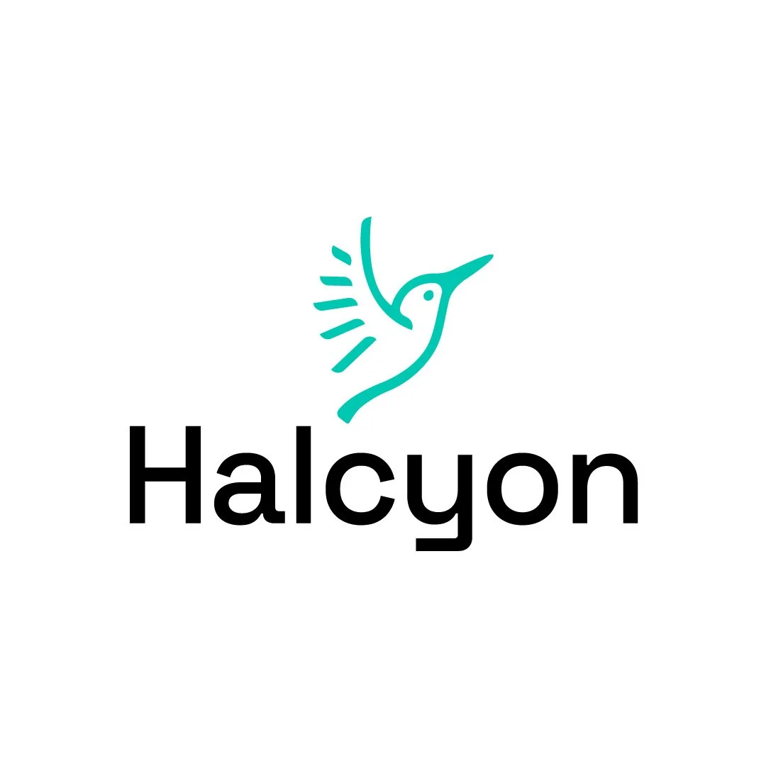 HALCYON FELLOWSHIP APPLICATION SPRING 2024